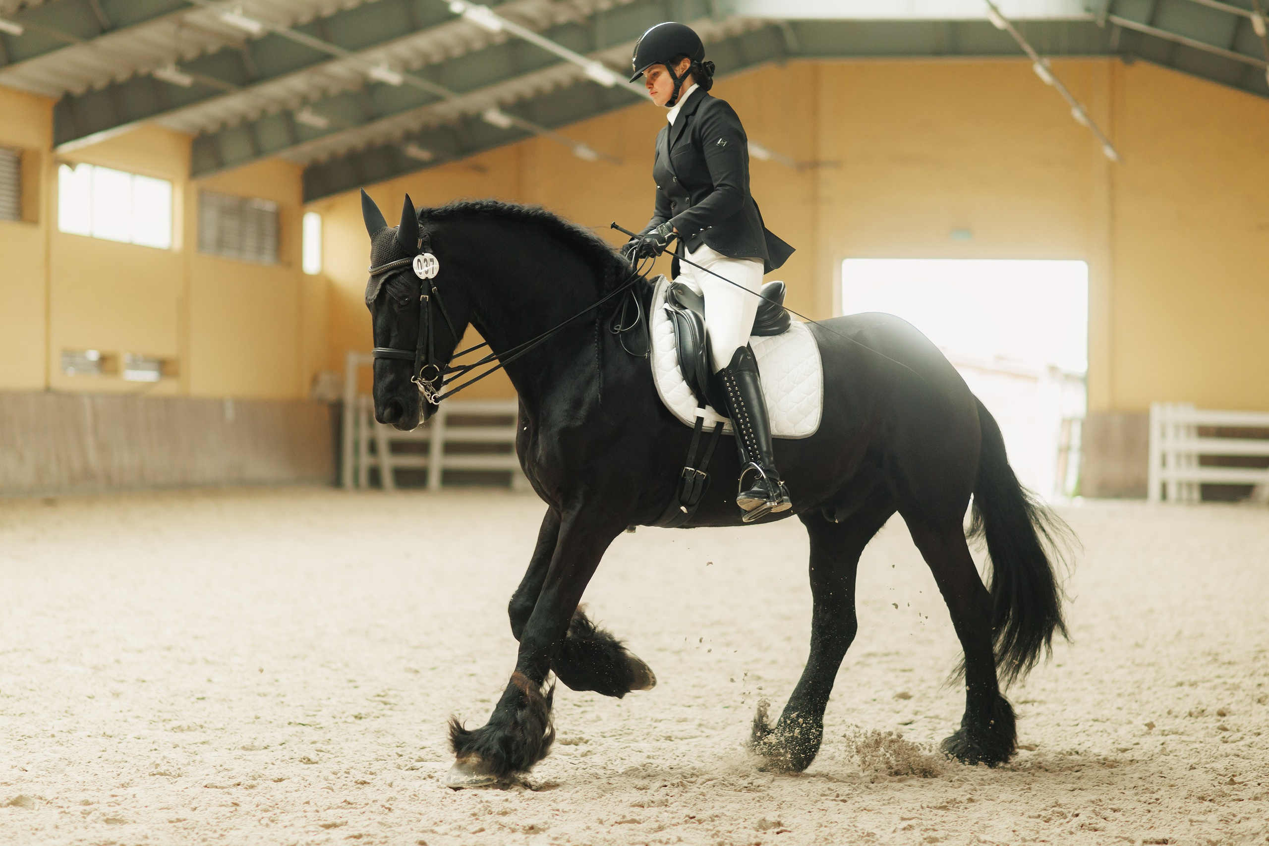 Partynice dressage \ feb'25. Kaja | fotograf we Wrocławiu | ludzie i psy