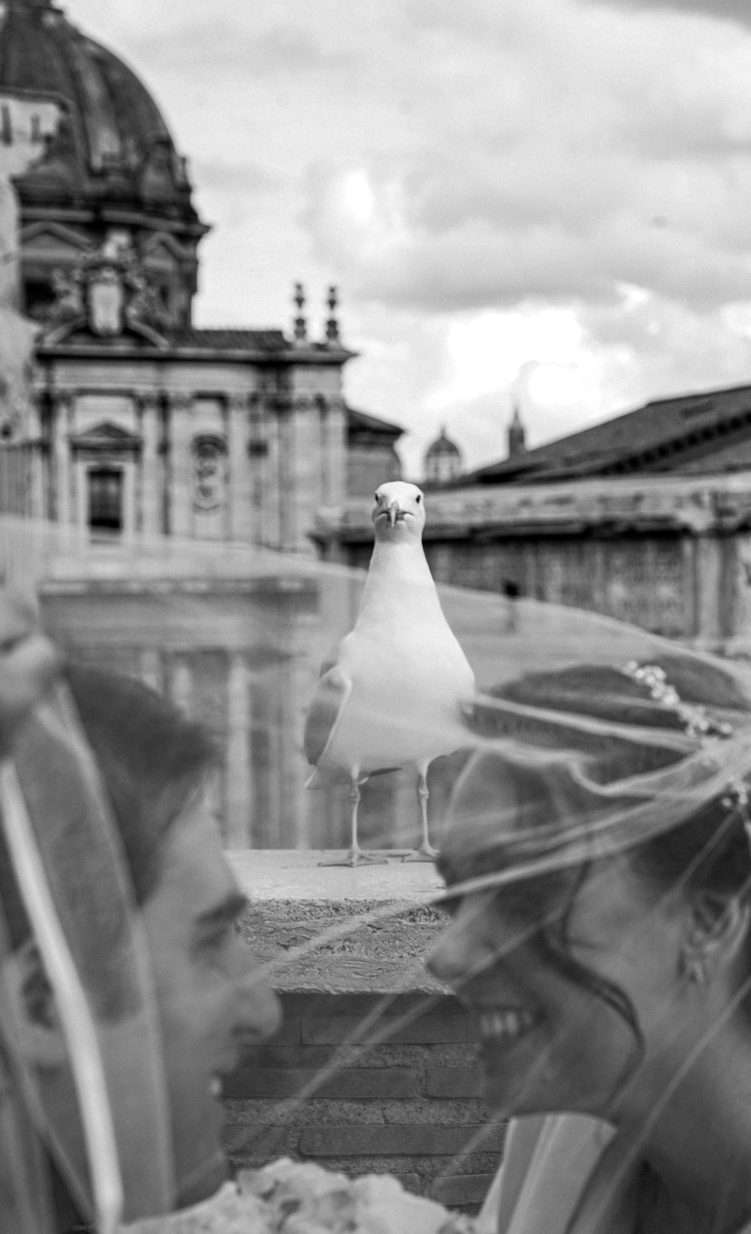 Ami e Matteo Roma. Фотограф в Риме. Гид по Риму. Фотограф Италия. Гиды по Италии. Фотосессия в Риме. Экскурсия в Риме с Русскоговорящим гидом. Гид Италия