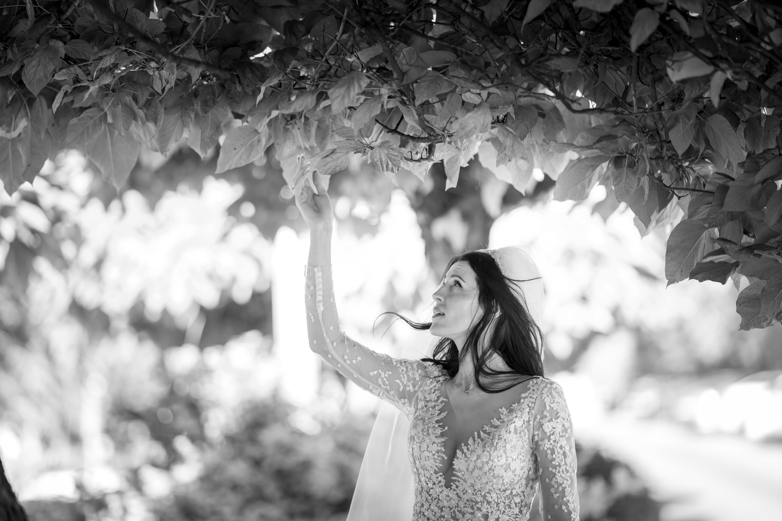 Dan & Maria. Gabriel Florea — Fotograf nuntă București