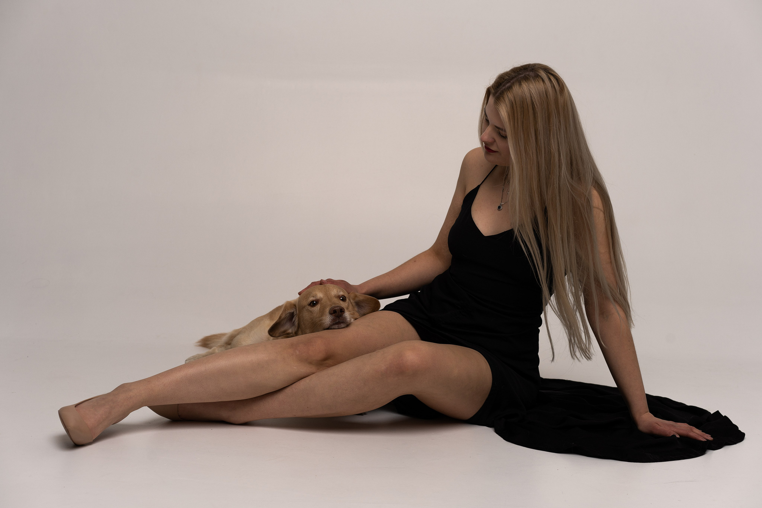 Studio with dogs. Sports and portrait photographer in Riga