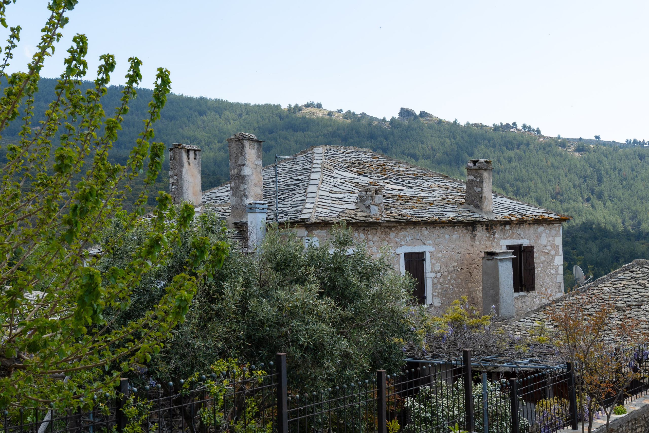 Thasos 2025. Fotografiideplacere.net