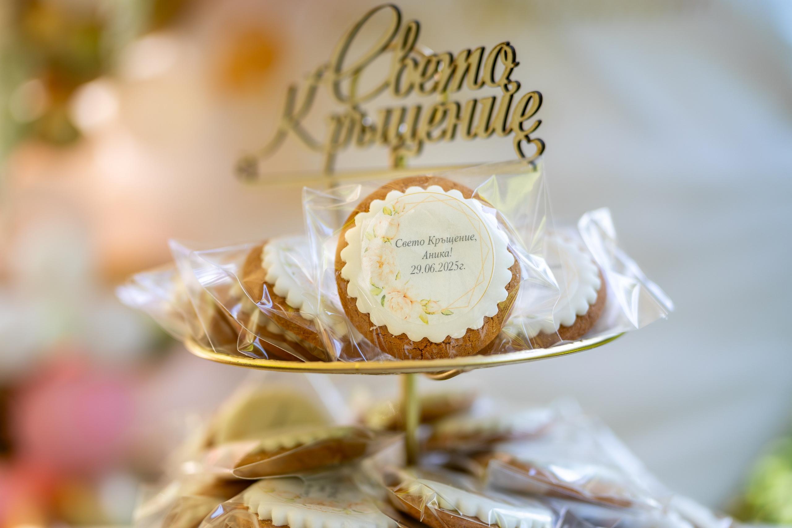 Професионален фотограф в Пловдив и областта