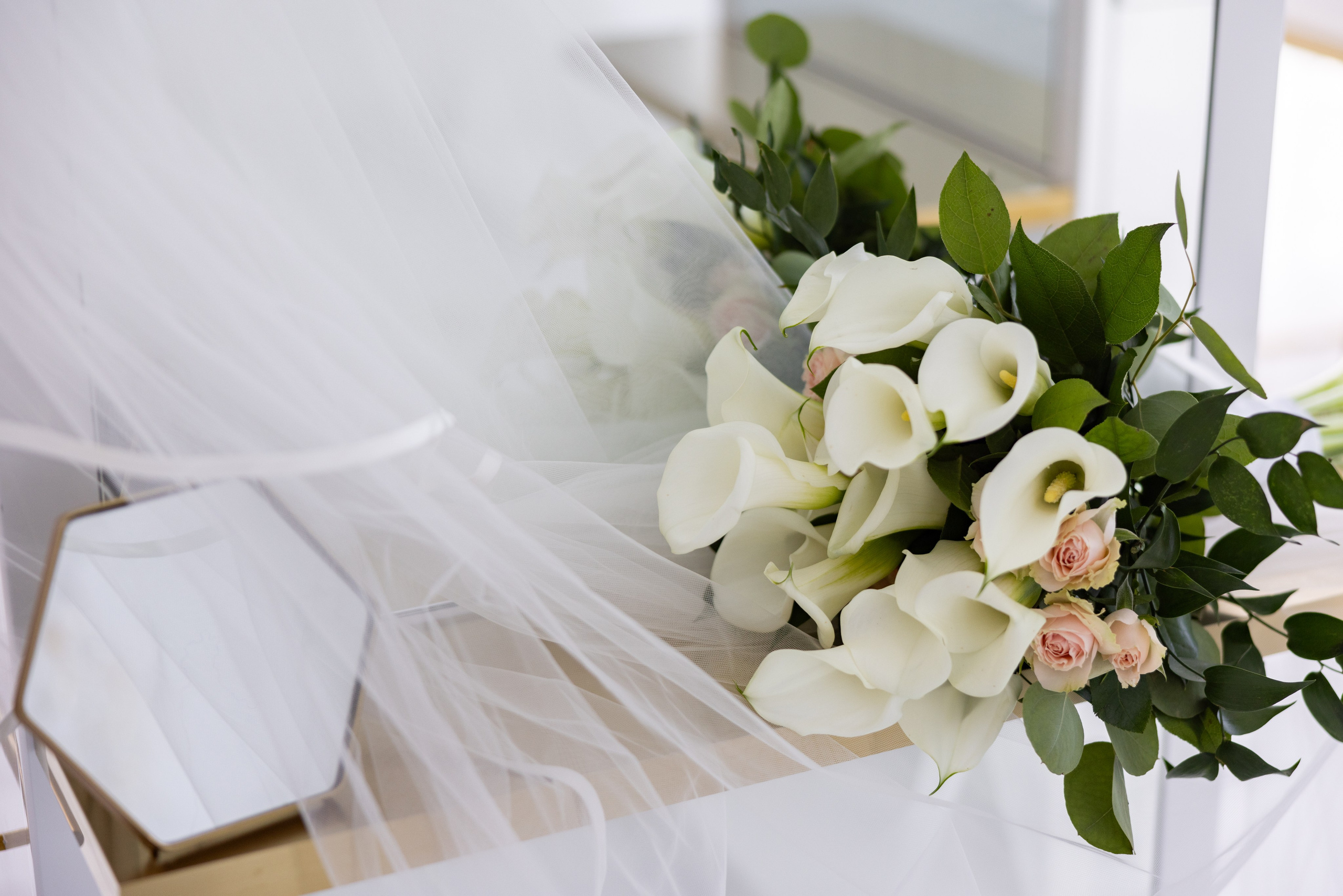 Mandana & Babak. Wedding Photo & Video