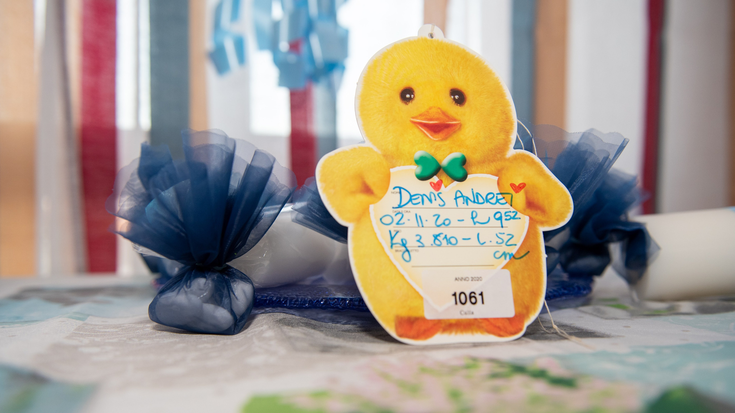 Denis Andrei. Daniel Rotaru Photography