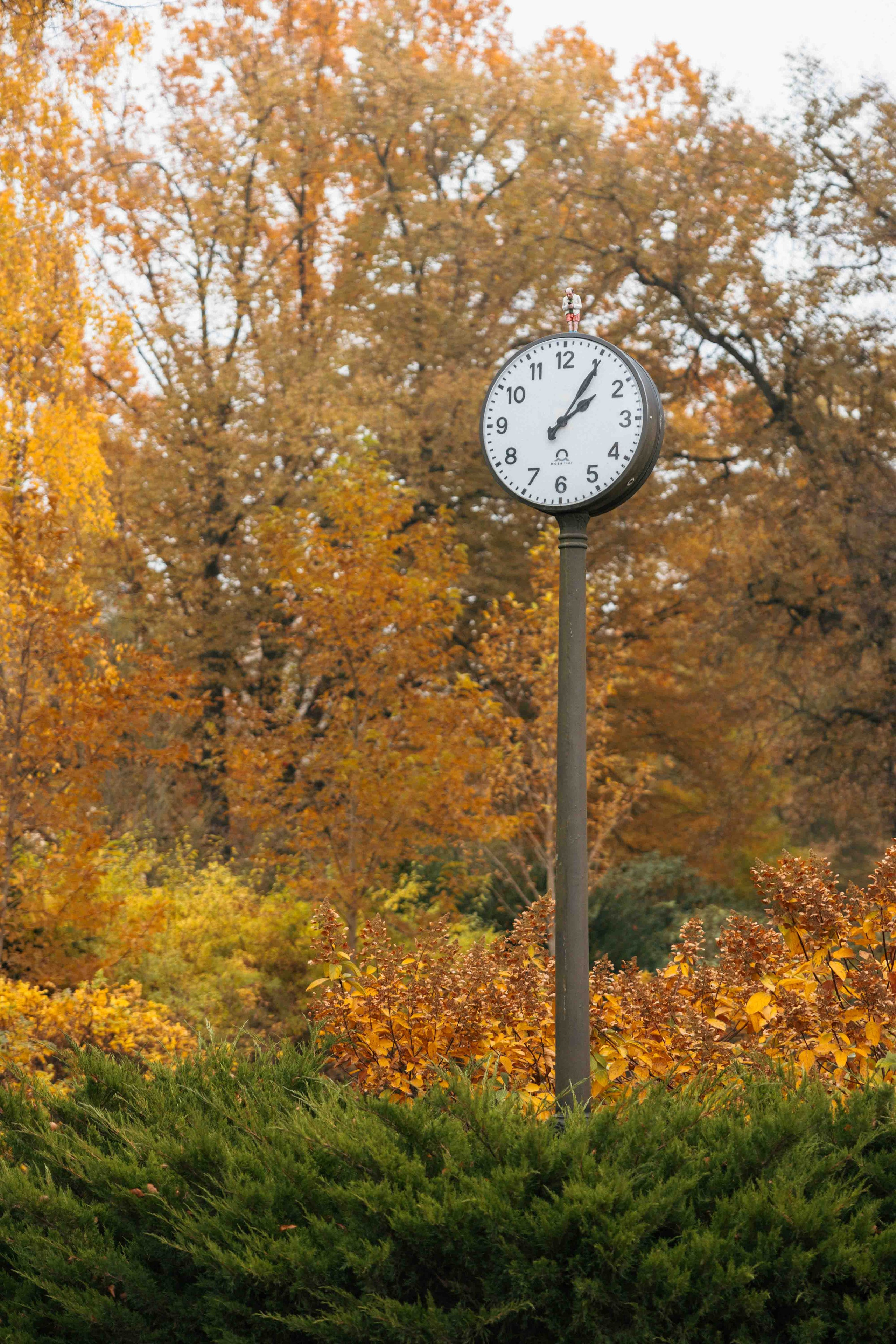 Best Autumn Photoshoot Locations in Vilnius: Top Spots to Capture the Fall Colors. Framed by Evelina | Destination Wedding Photographer from Lithuania | Europe