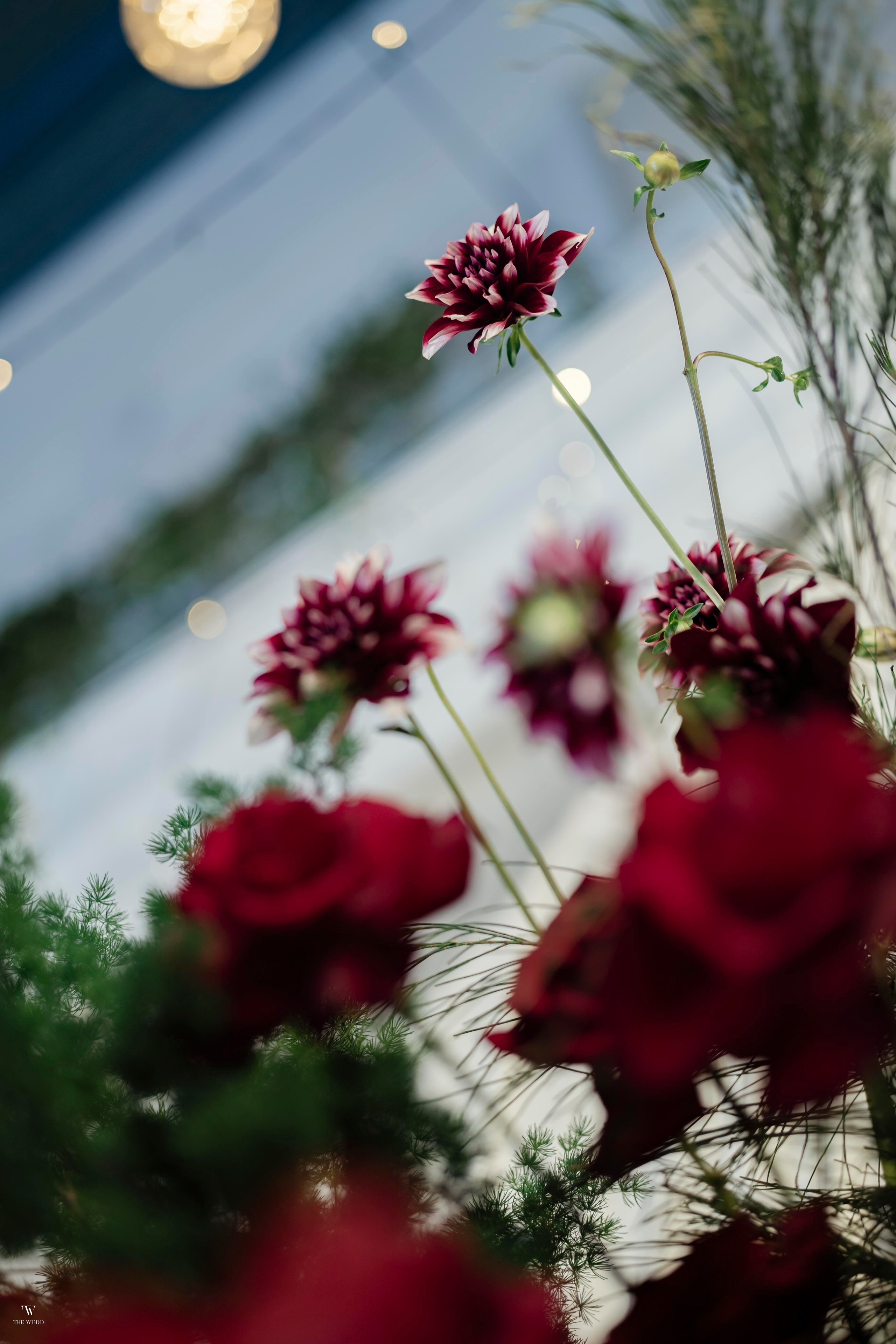 NGHIA & NGOC. WEDDING PHOTOGRAPHER IN VIETNAM