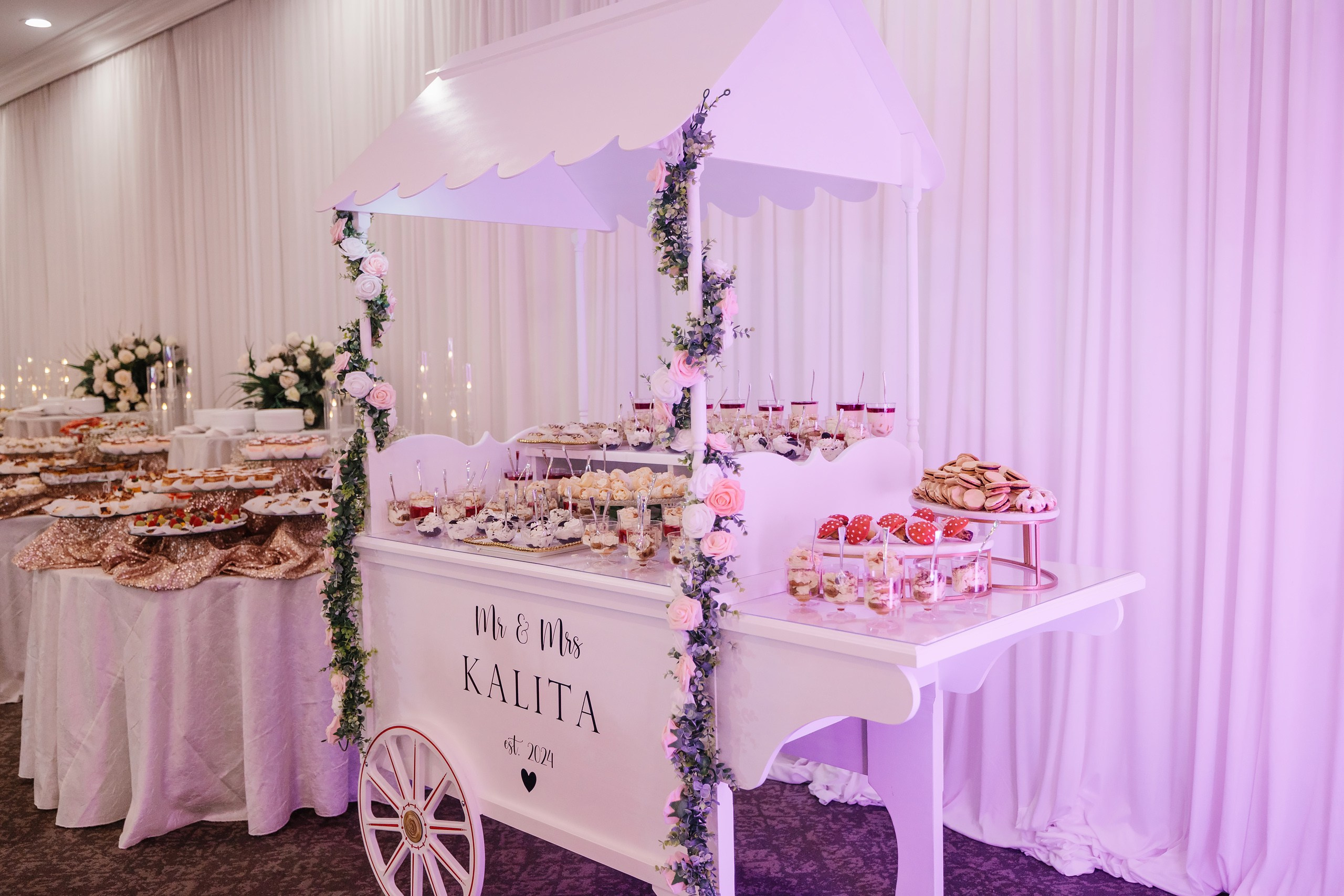 31.08.2024 Wedding. Wedding family event photographer in Chicago Nick Yushevich