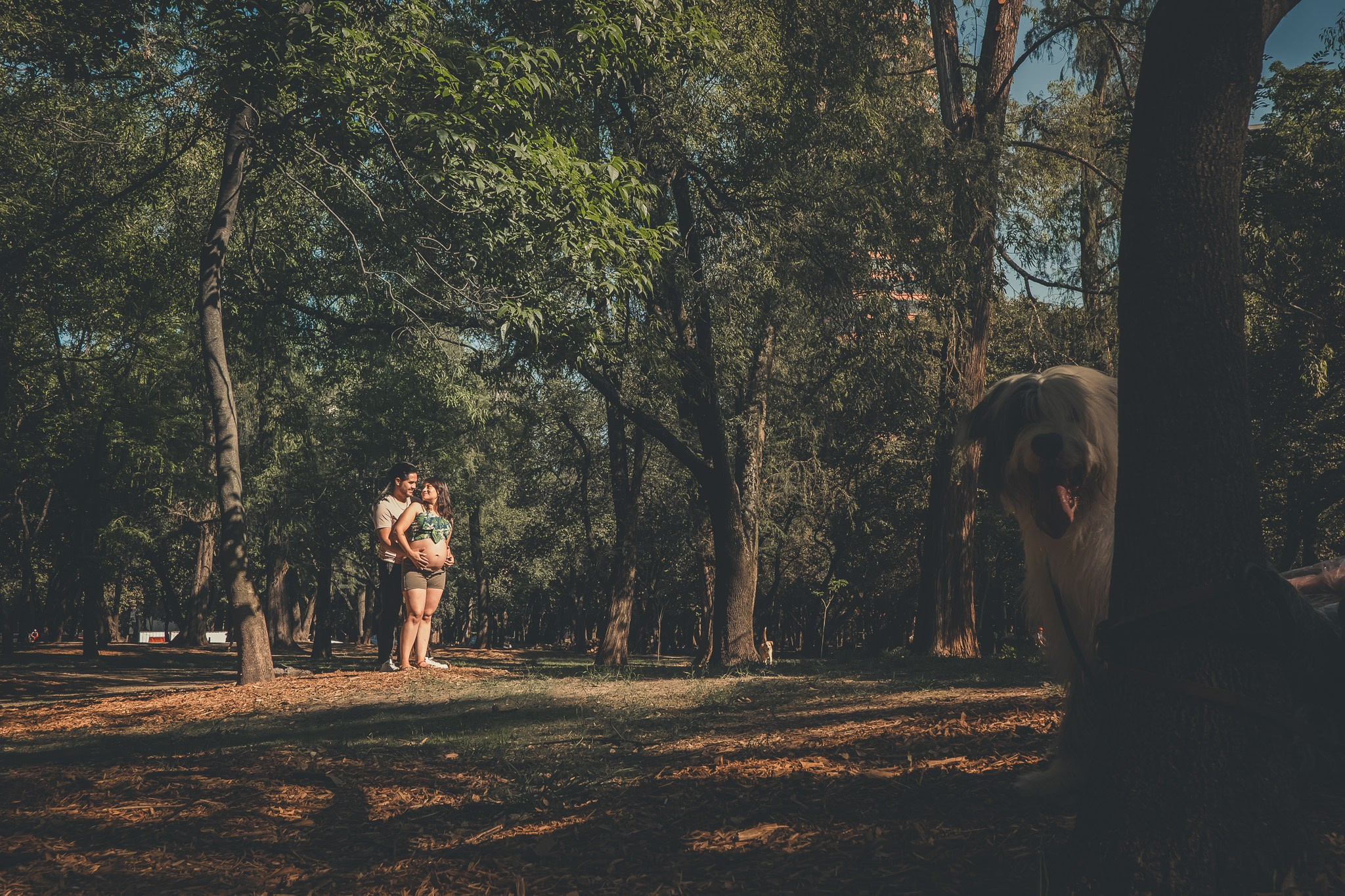 Alejandro. Wedding and family photographer in Mexico City