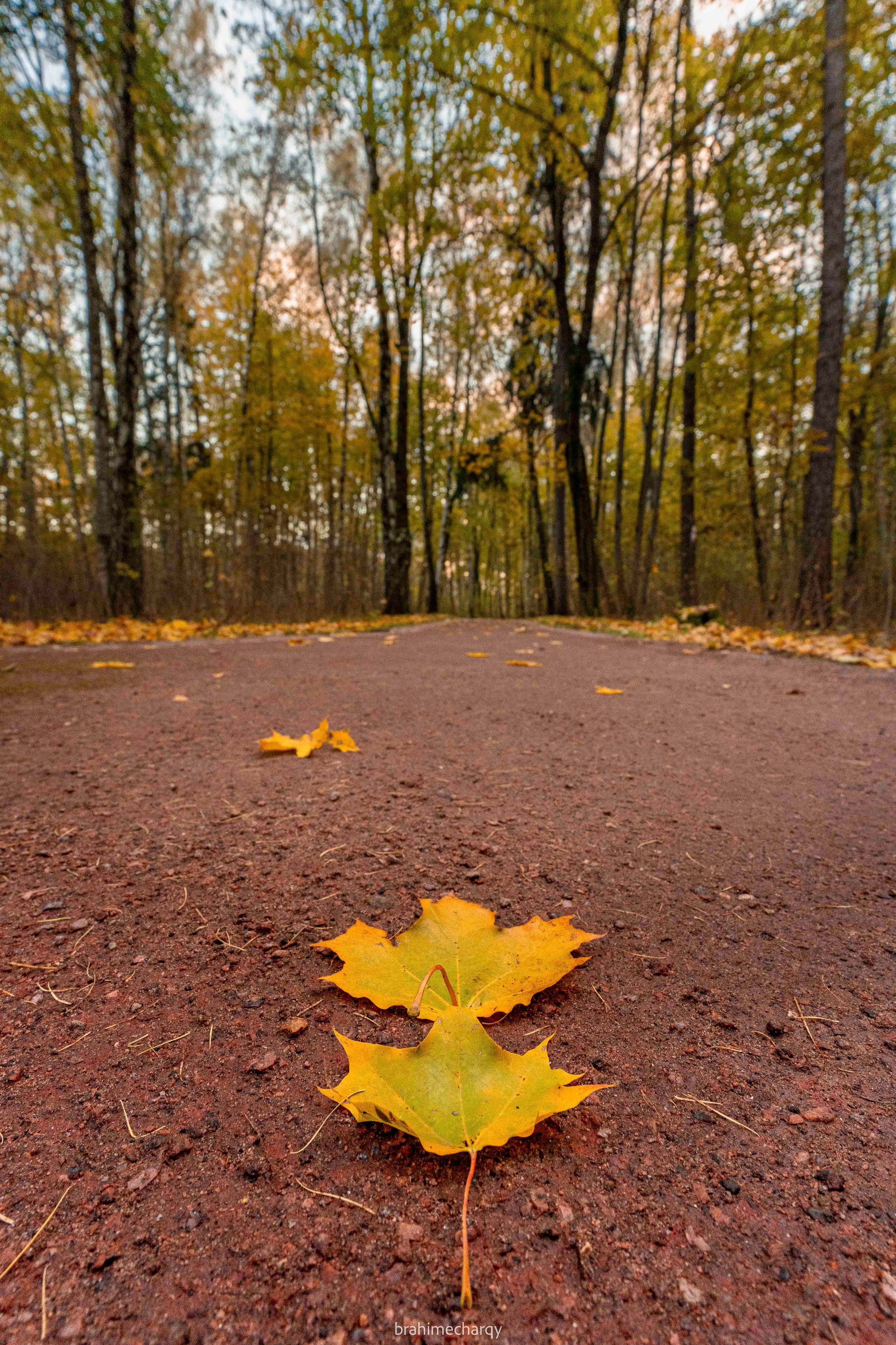 Фото. Брахим — фотограф