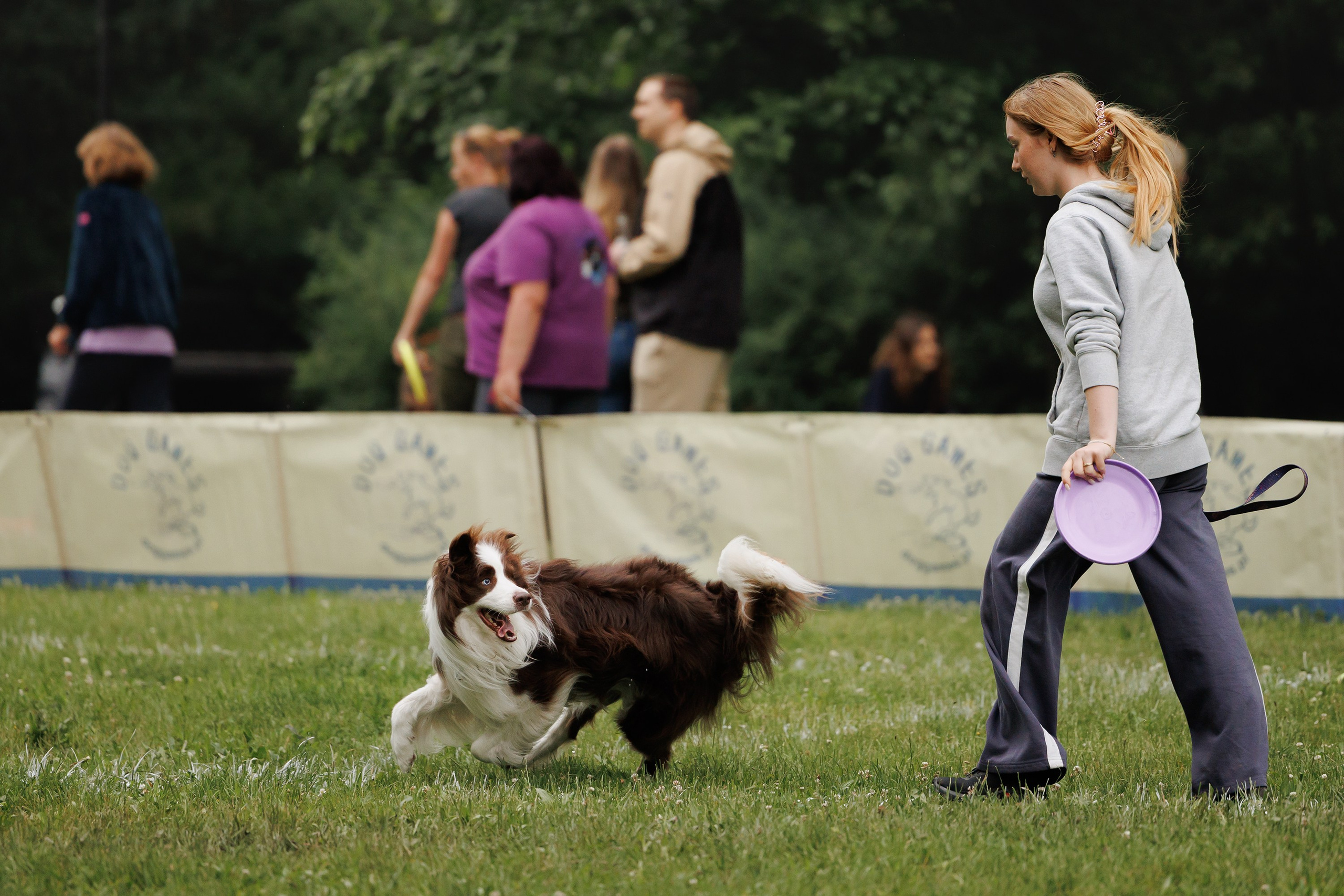 Latające psy, Wrocław'25. Kaja | fotograf psów we Wrocławiu