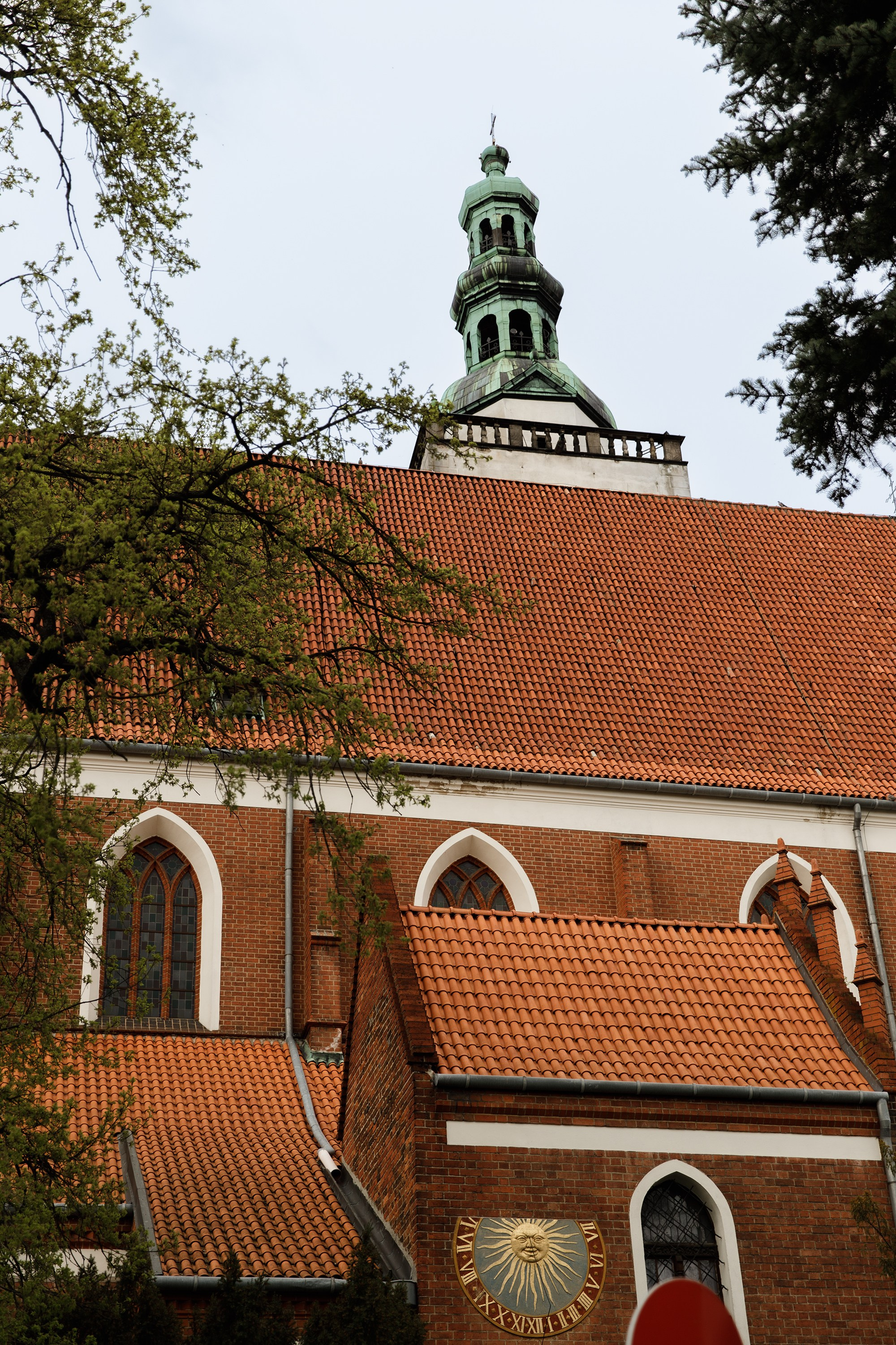 Oleśnica castle. Kaja | fotograf psów we Wrocławiu