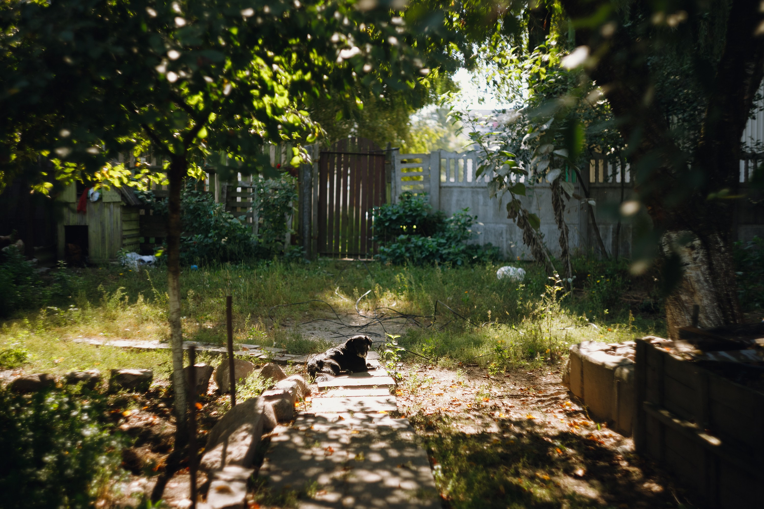 Grandmother's home in Brest. Kaja | fotograf we Wrocławiu | ludzie i psy