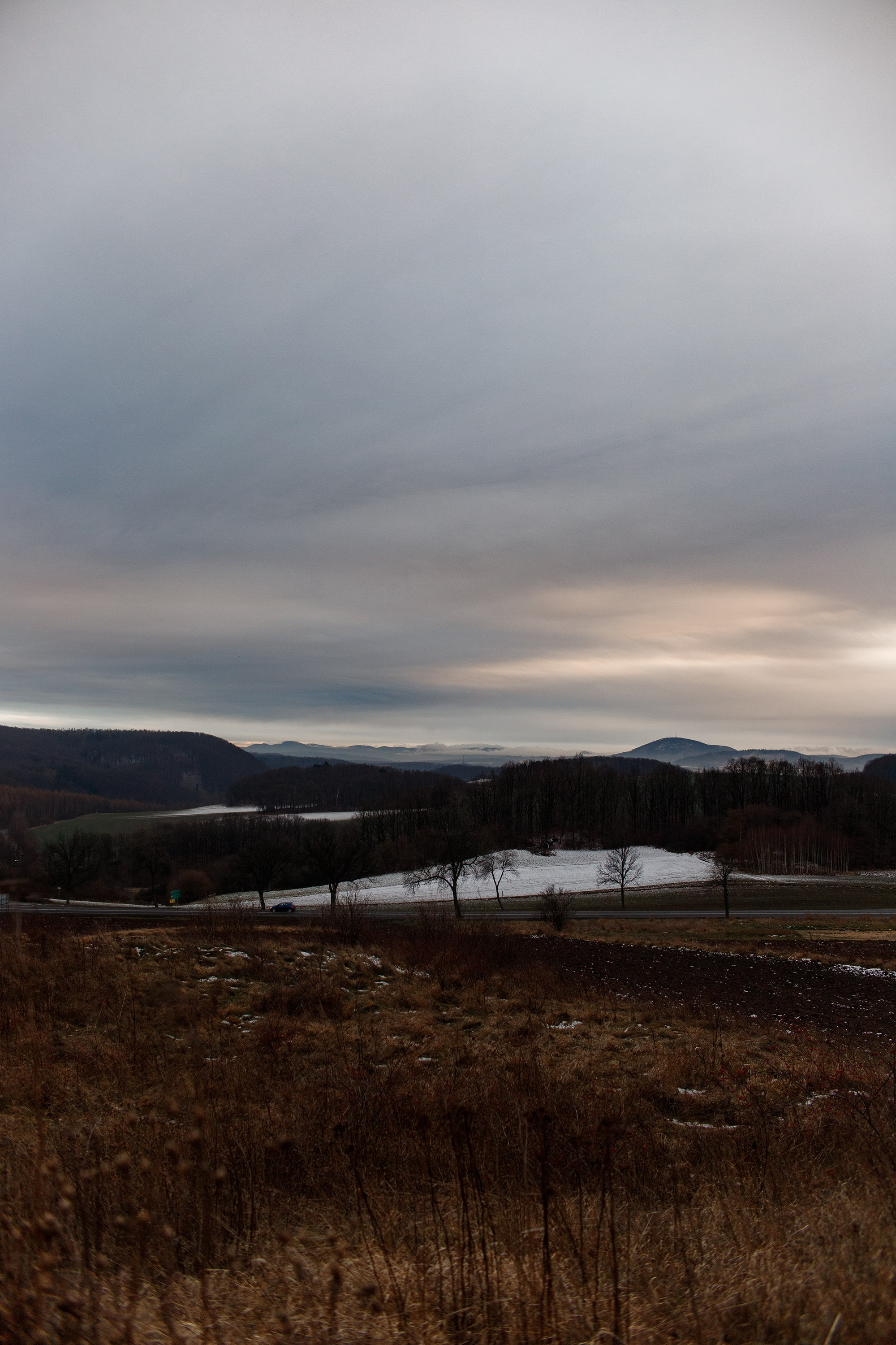 Bolków castle. Kaja | fotograf we Wrocławiu | ludzie i psy