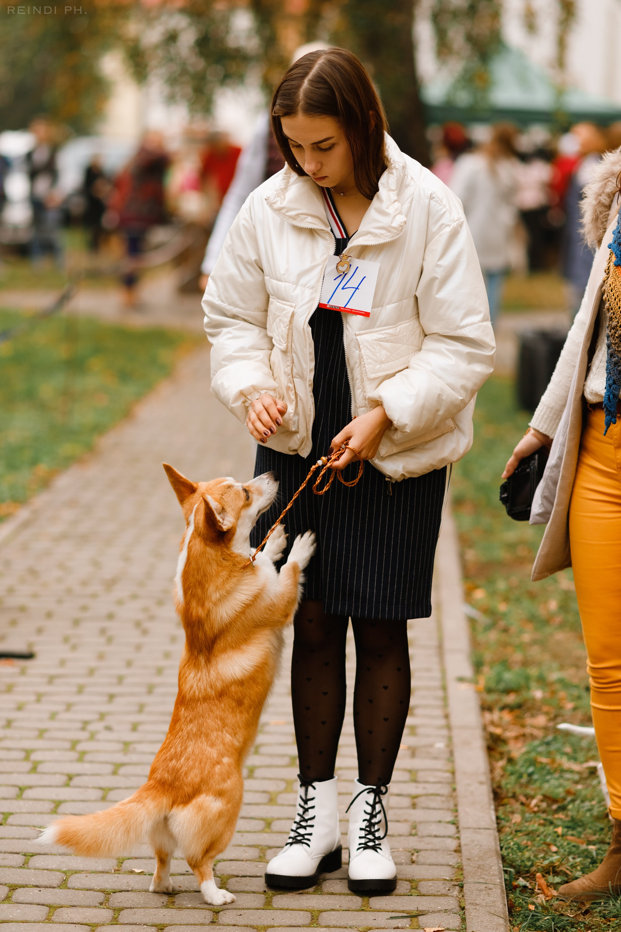 «Argus» dog show in Brest. Kaja | fotograf we Wrocławiu | ludzie i psy