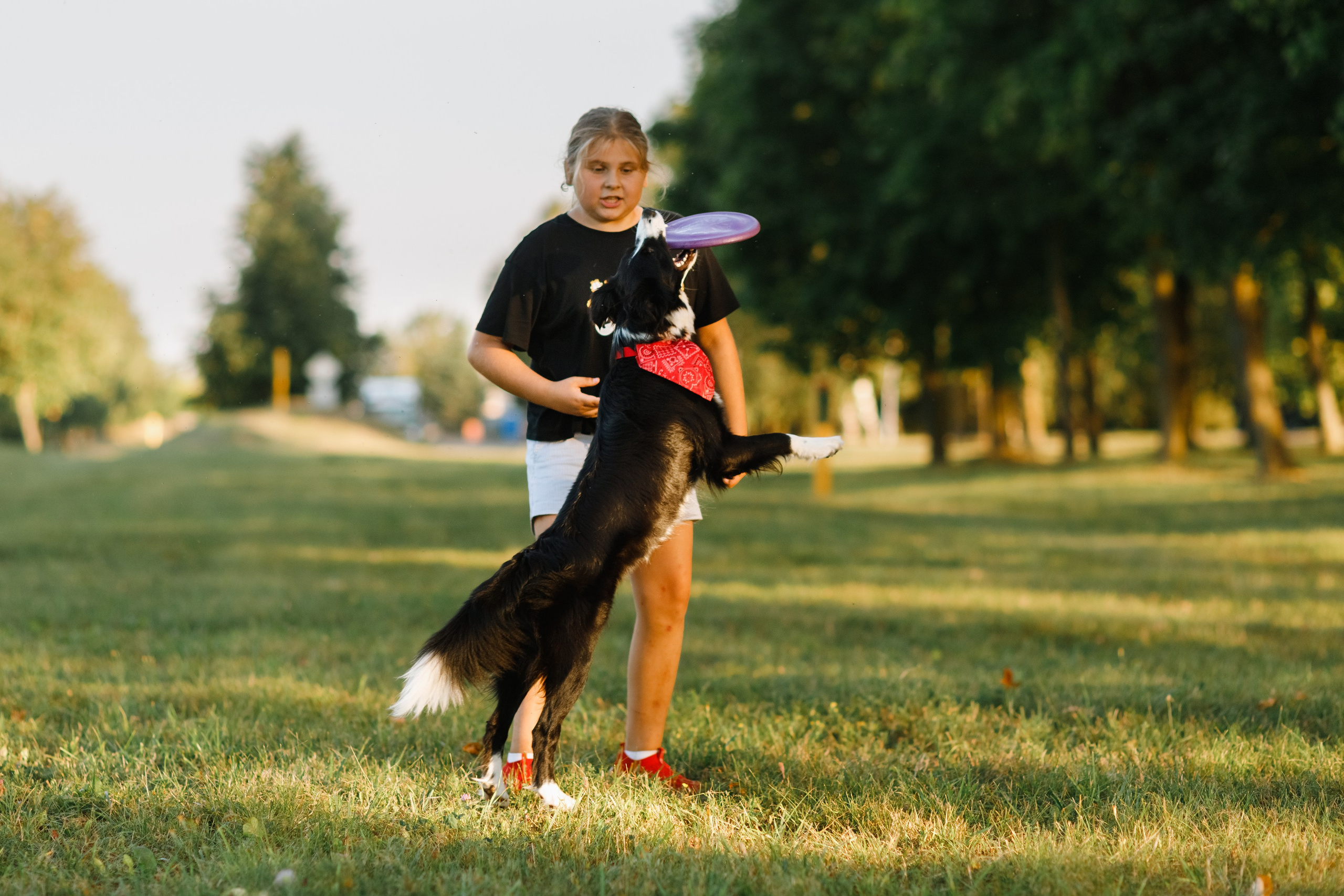 Frisbee workshop of Darya Lukina. Kaja | fotograf we Wrocławiu | ludzie i psy
