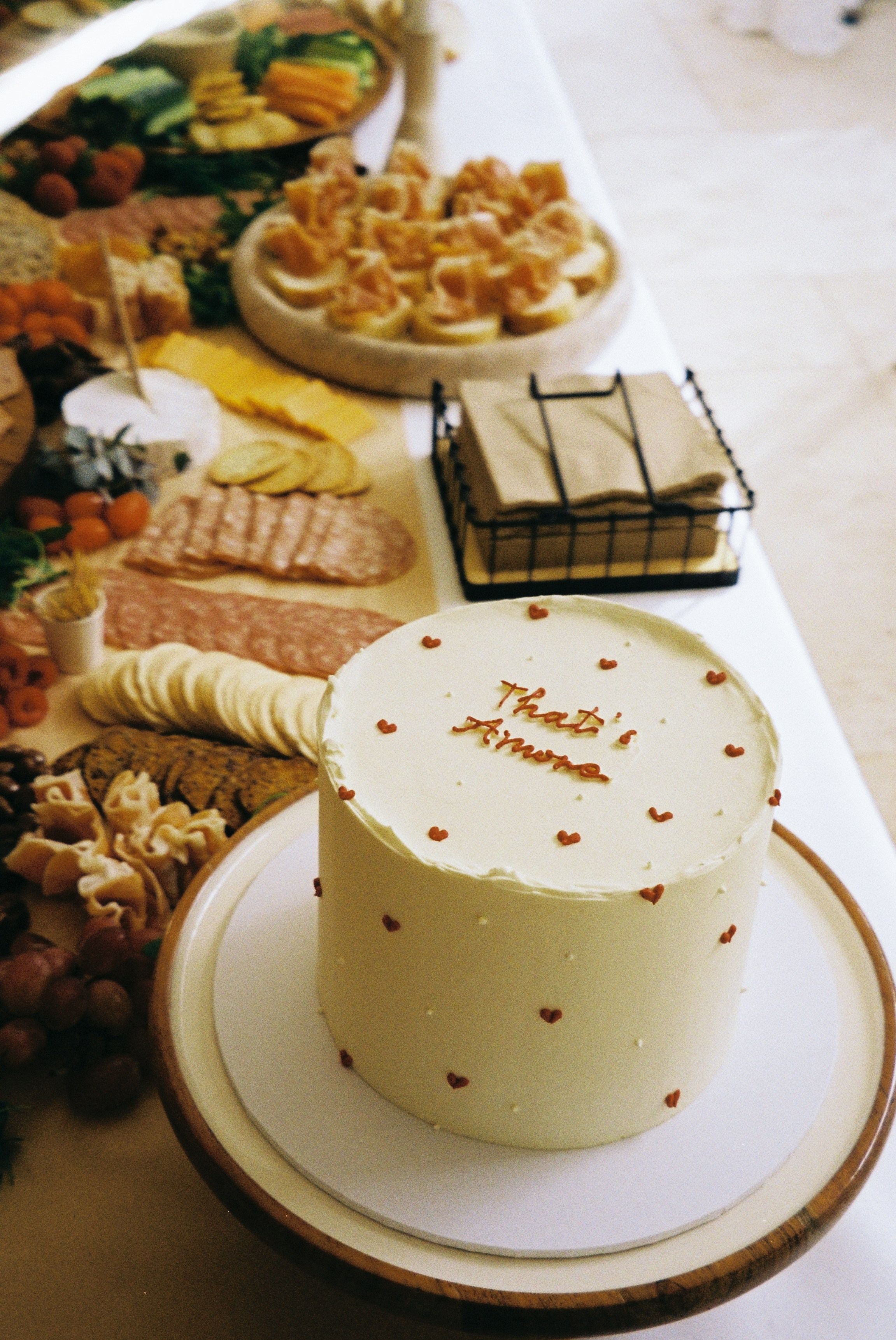 Engagement Party. Film portrait photographer