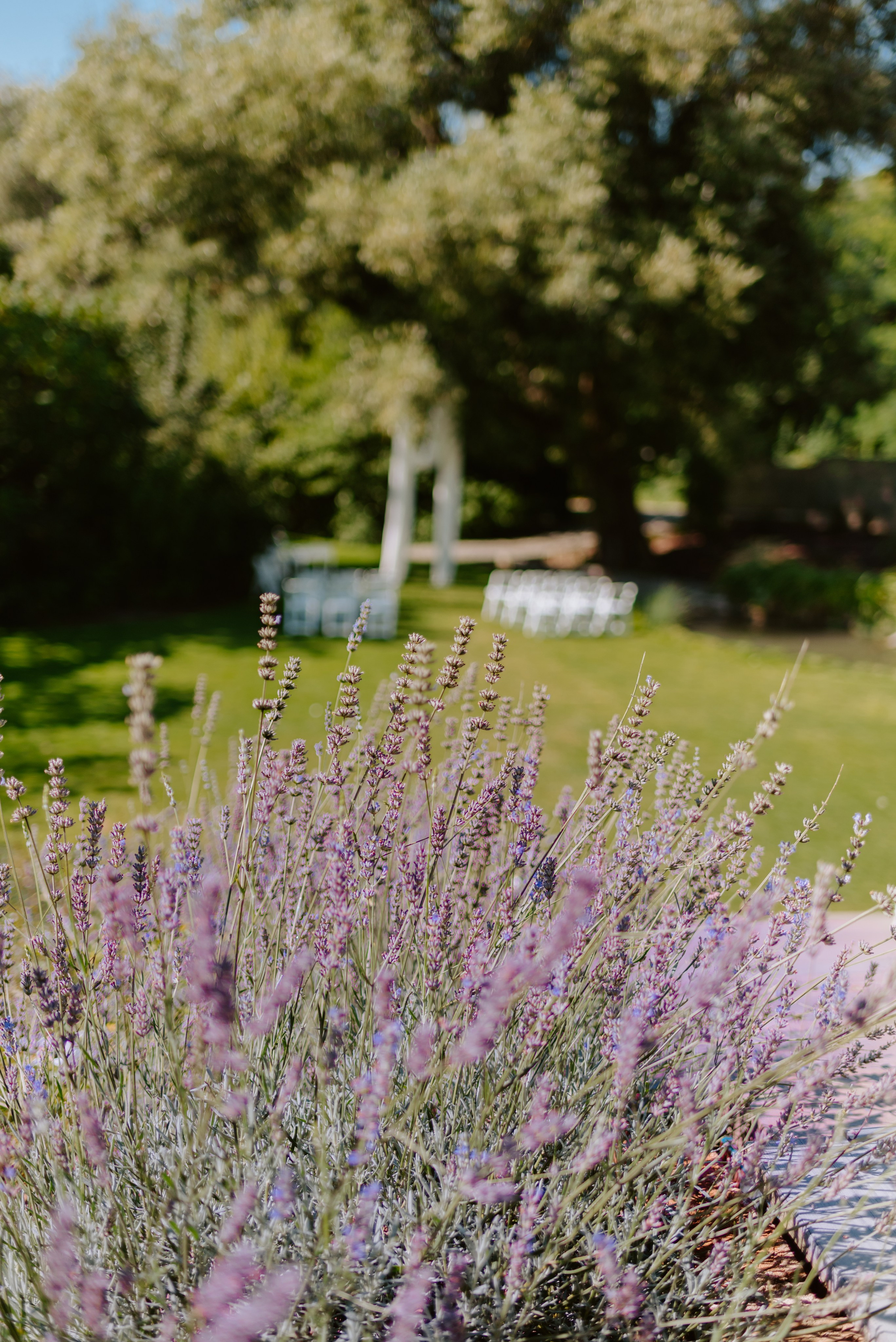 Czech and Portugal Photographer. Lifestyle, wedding and family photographer