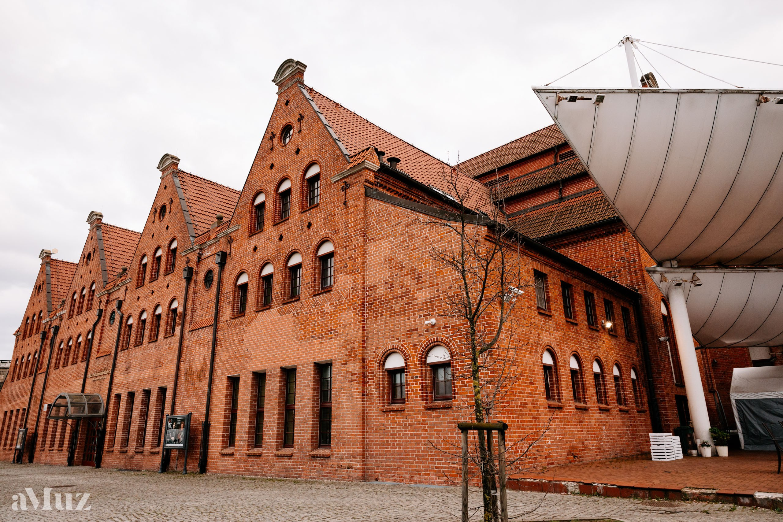Koncert dyplomantów aMuz w Polskiej Filharmonii Bałtyckiej. Fotograf Ślubny Warszawa - Sesje Biznesowe Rodzinne Eventy