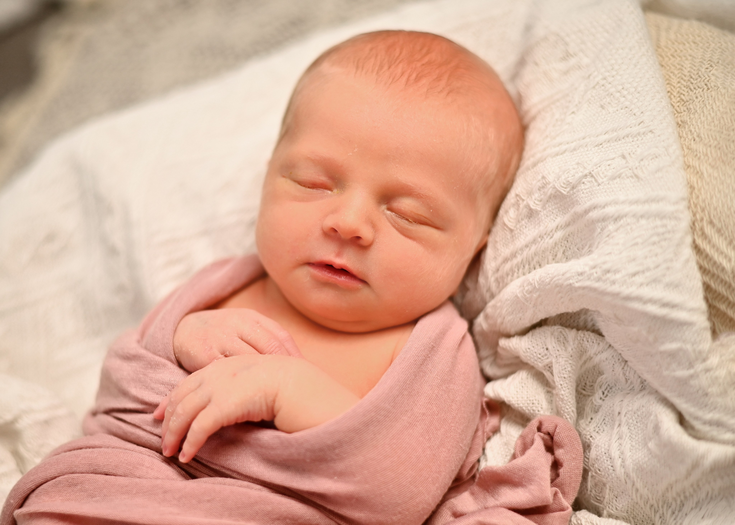 Neugeborene. Lena Horch