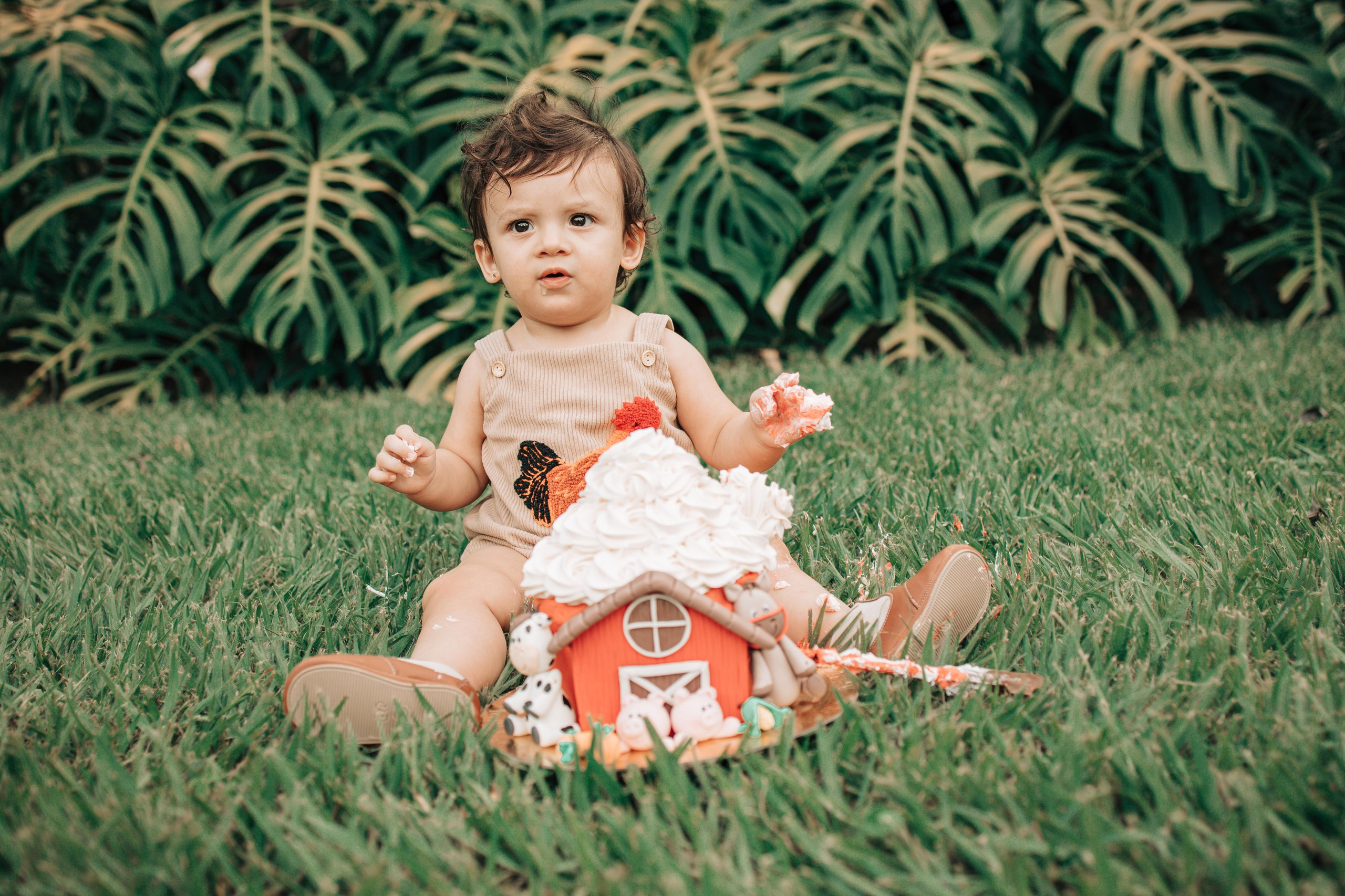 Presets. João Paulo Facin Fotografia | Fotógrafo em Bauru e região