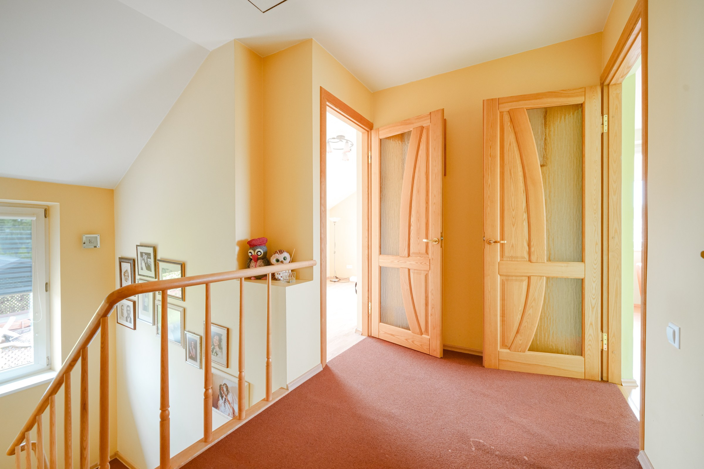 Viršupio sodų 1-oji. Elina Sapiega fotografė Vilniuje