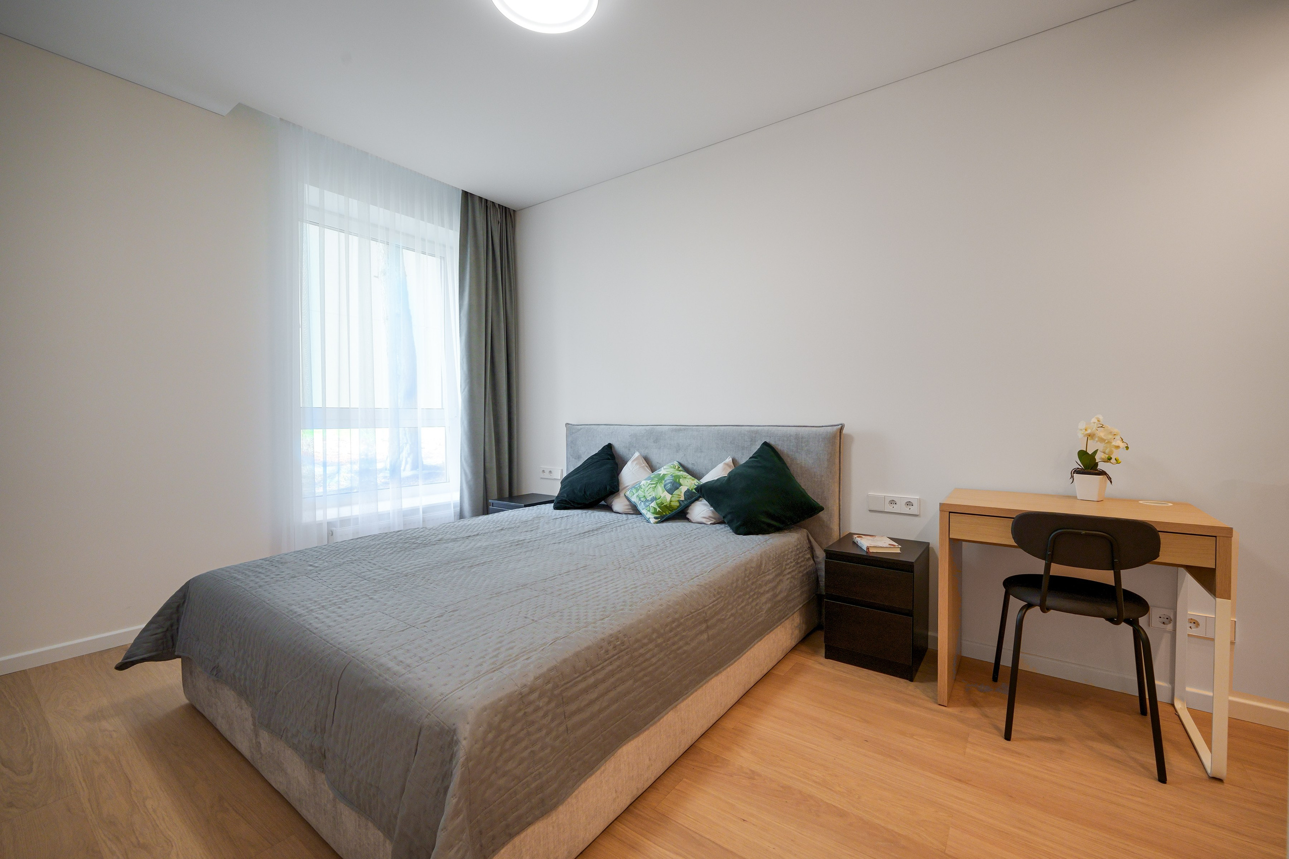 Baltupio g. 63. Elina Sapiega fotografė Vilniuje