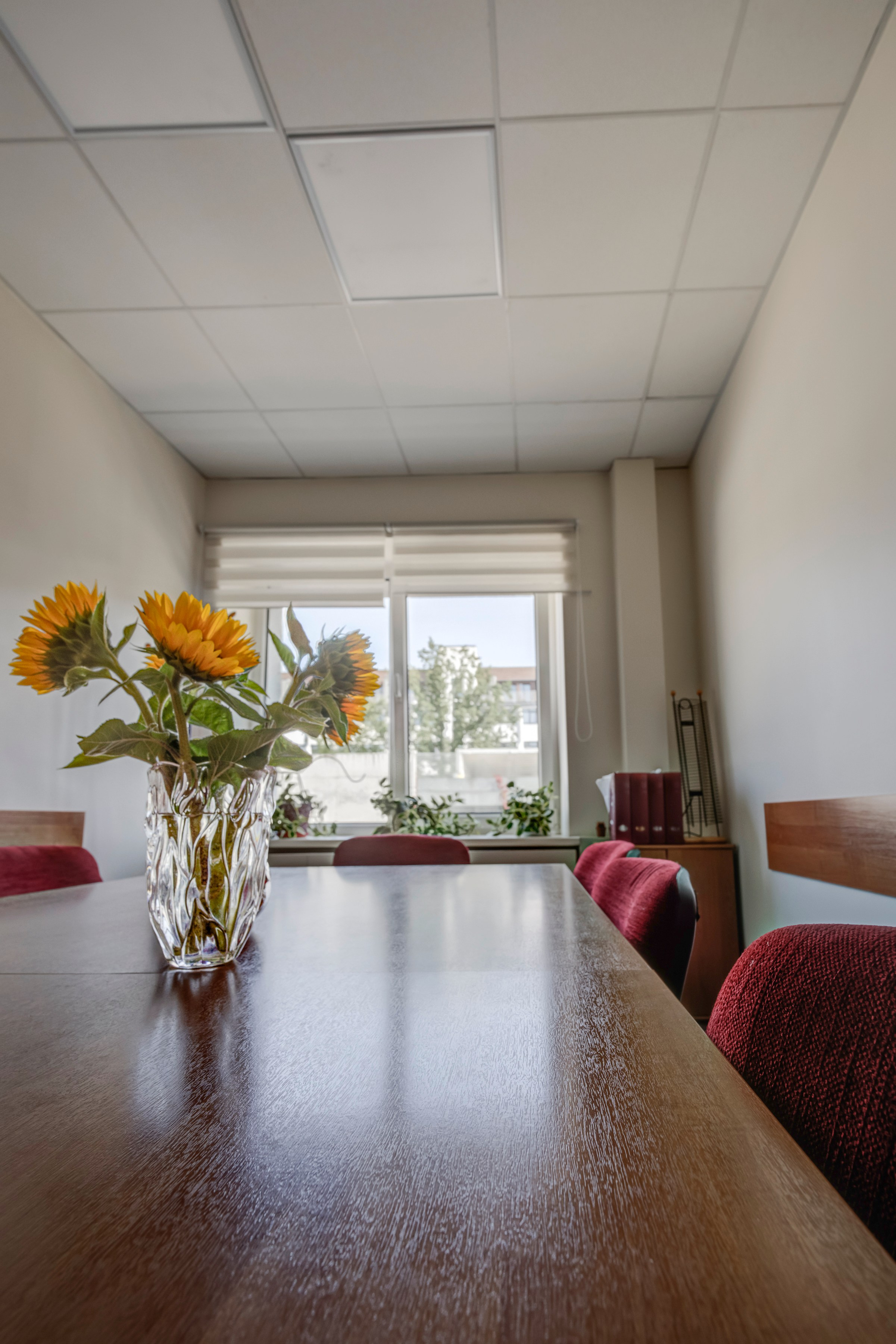 Saltoniškių g. 31. Elina Sapiega fotografė Vilniuje