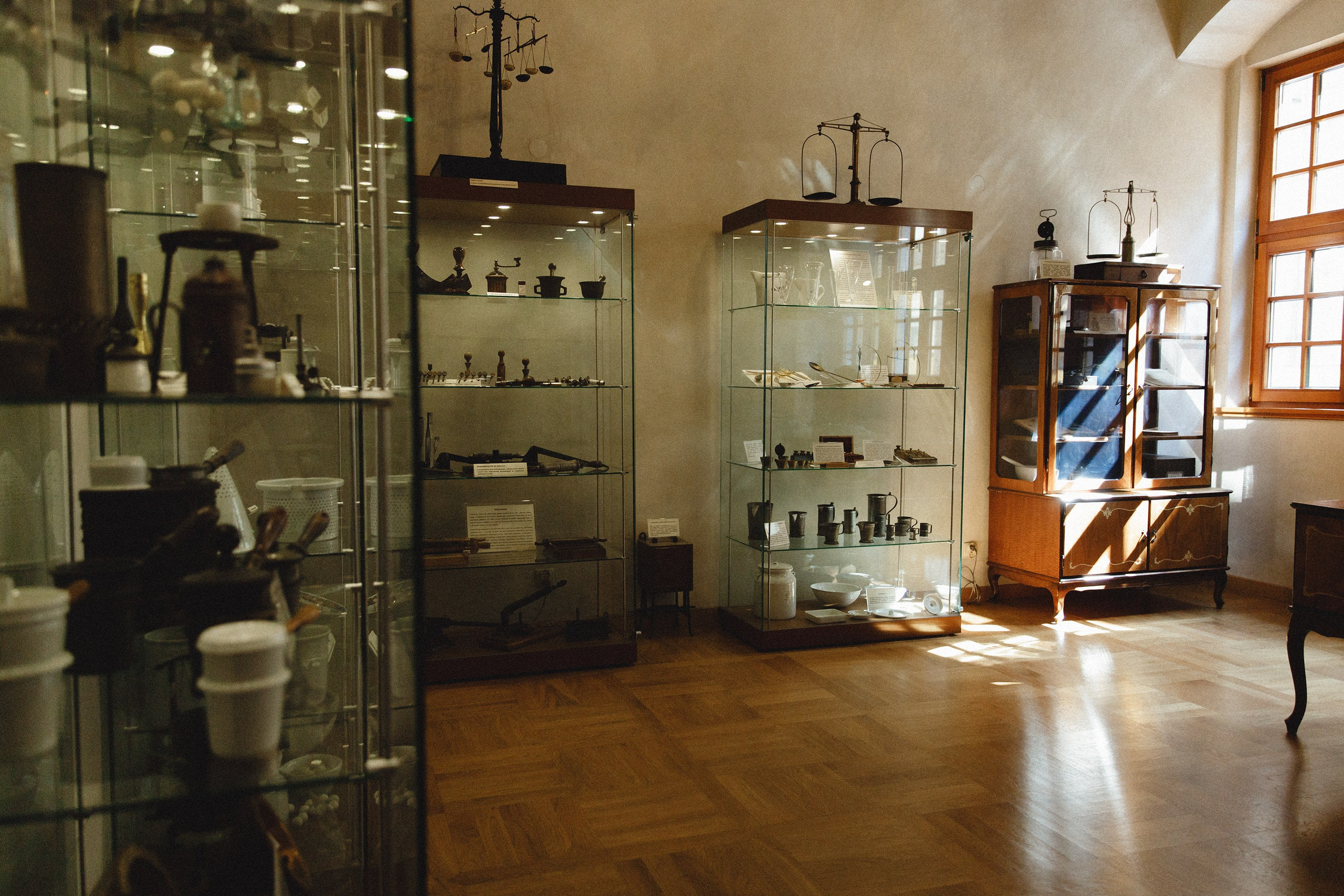 Museum of farmacy in Wroclaw. Kaja | fotograf we Wrocławiu | ludzie i psy