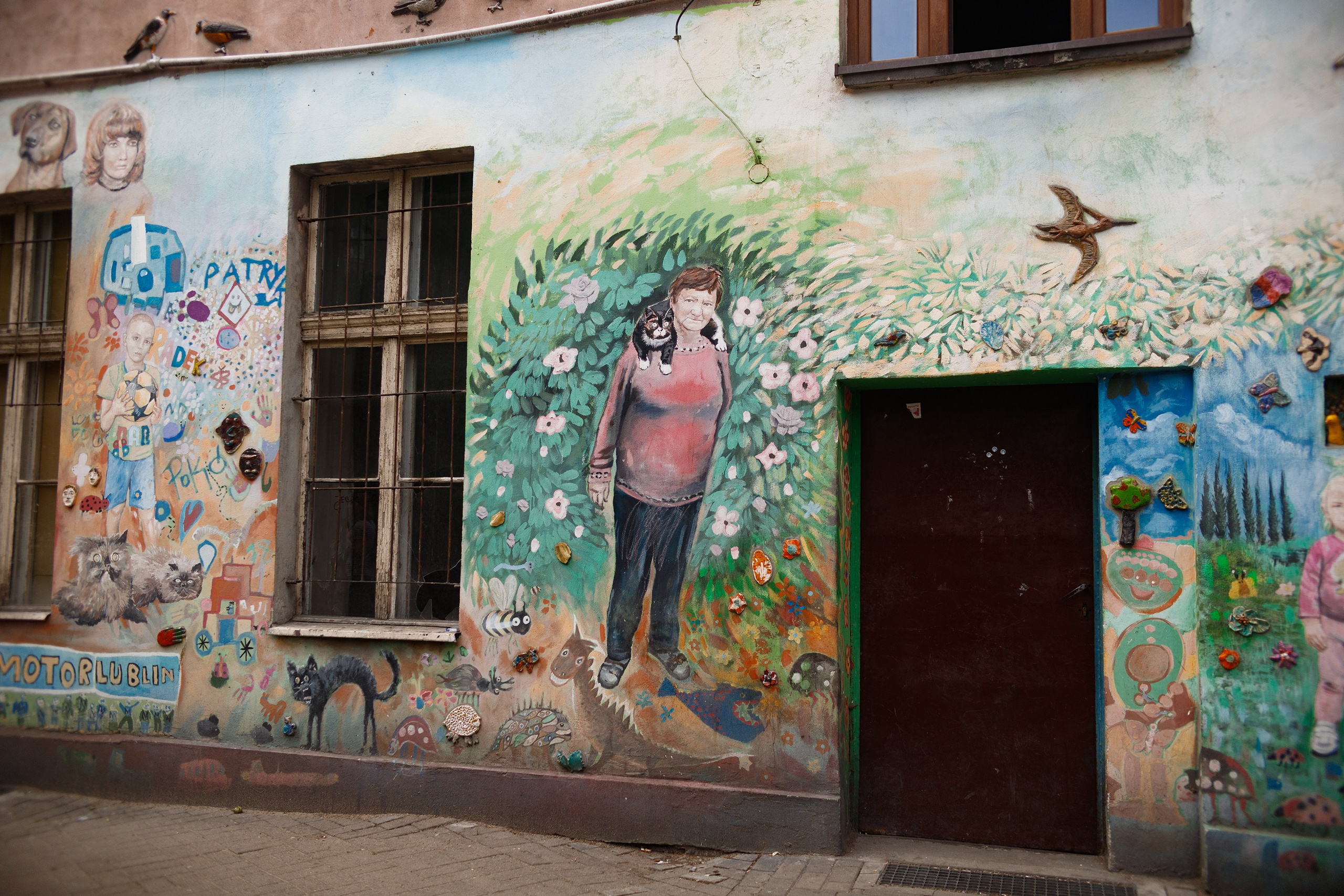 Wroclaw | the best ones. Kaja | fotograf psów we Wrocławiu