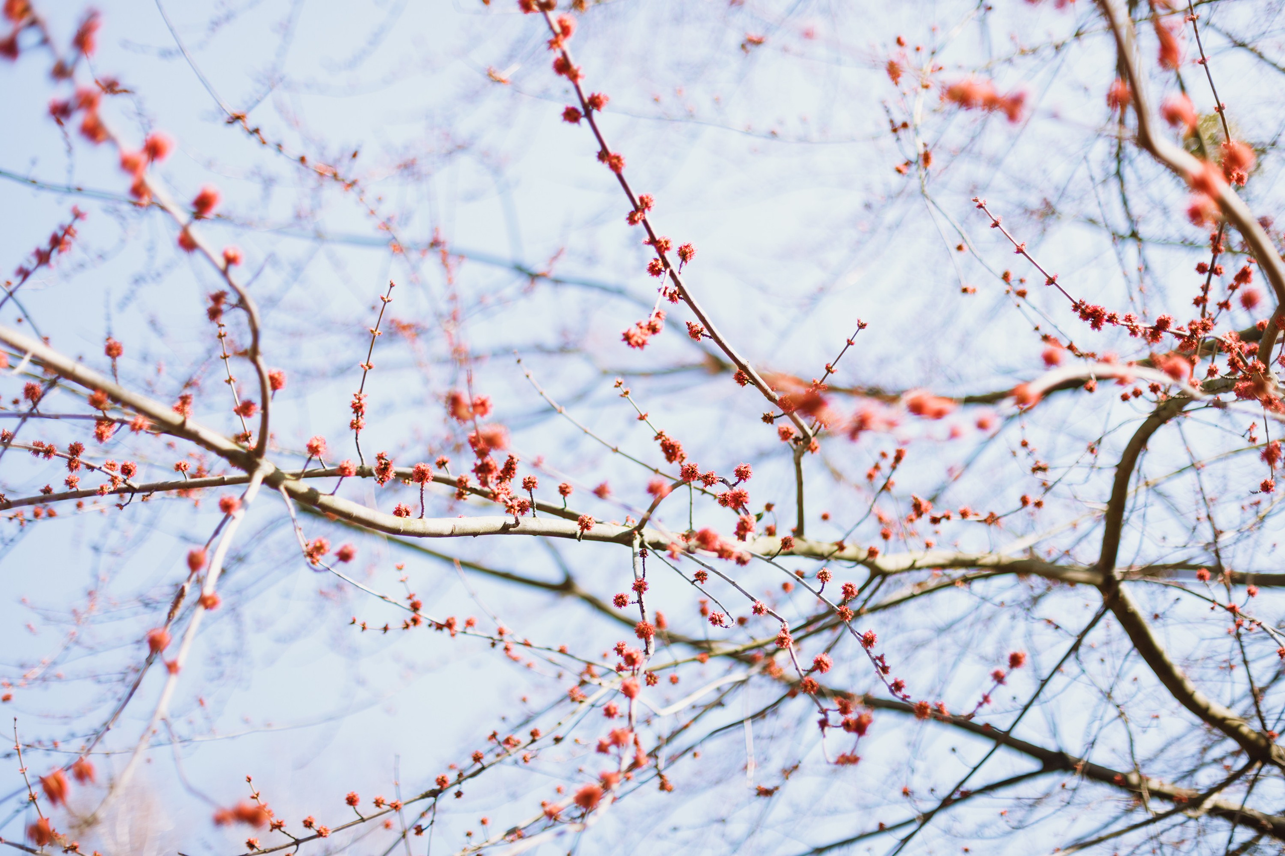 Psychologist blog content. Kaja | fotograf we Wrocławiu | ludzie i psy