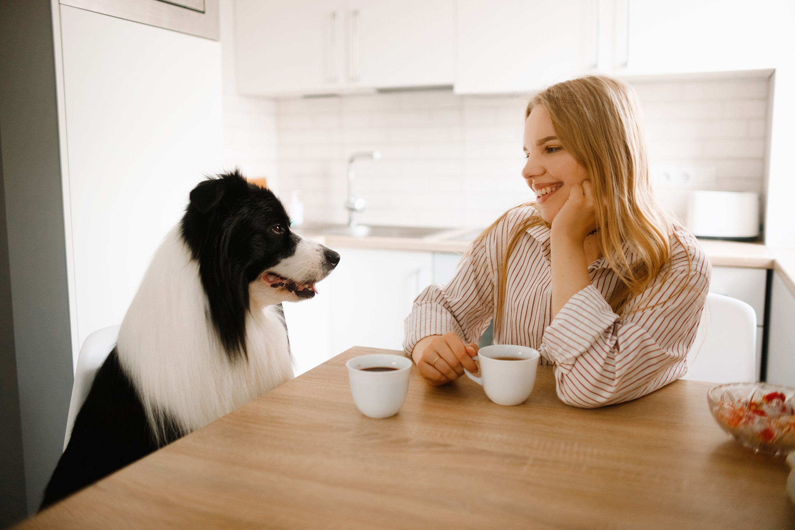 Evgenia & Richard. Kaja | fotograf we Wrocławiu | ludzie i psy