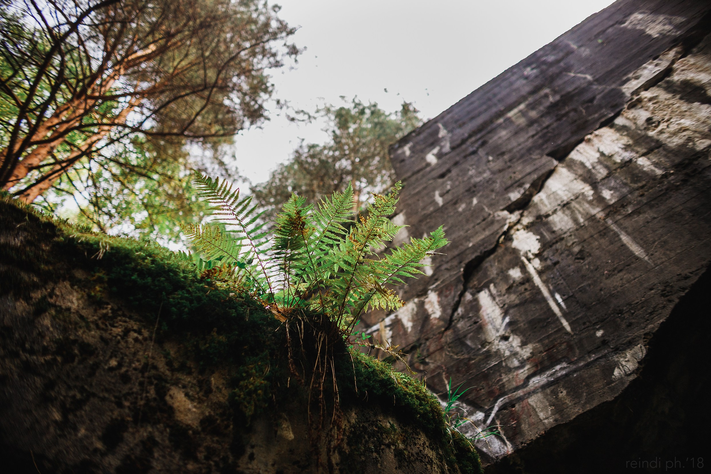 «Kasmach» dogs ammunition. Kaja | fotograf we Wrocławiu | ludzie i psy