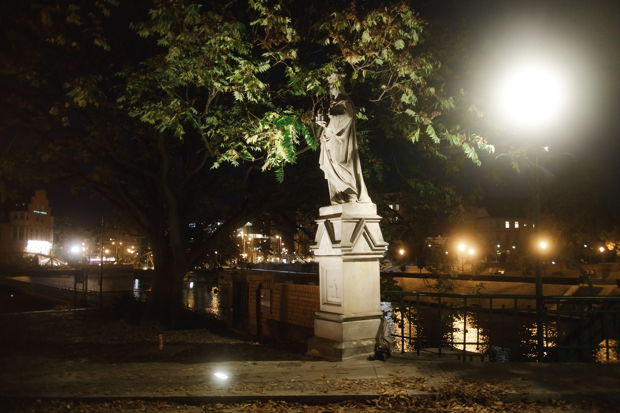 Nastya. Kaja | fotograf psów we Wrocławiu