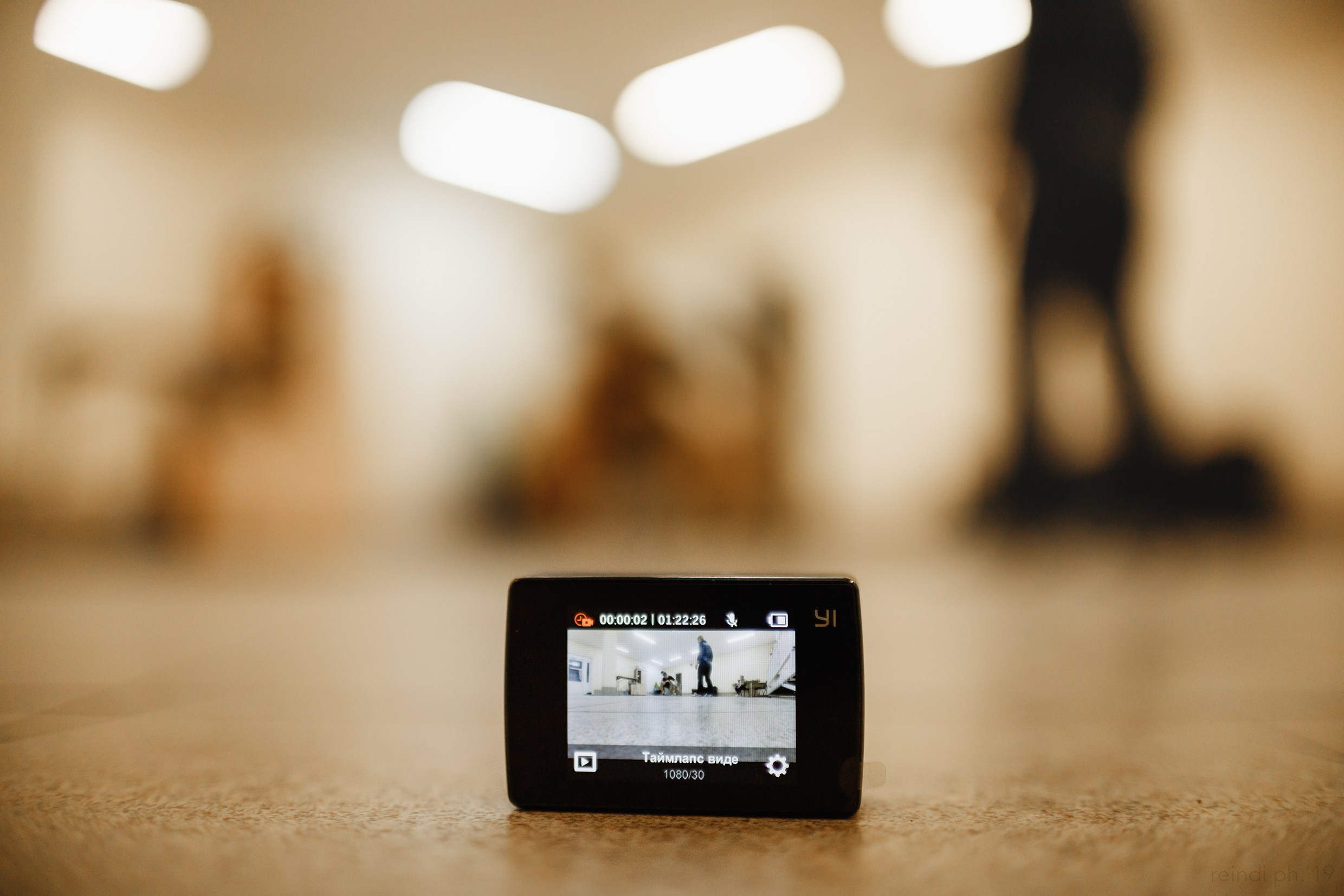 Dog handling hall. Kaja | fotograf we Wrocławiu | ludzie i psy