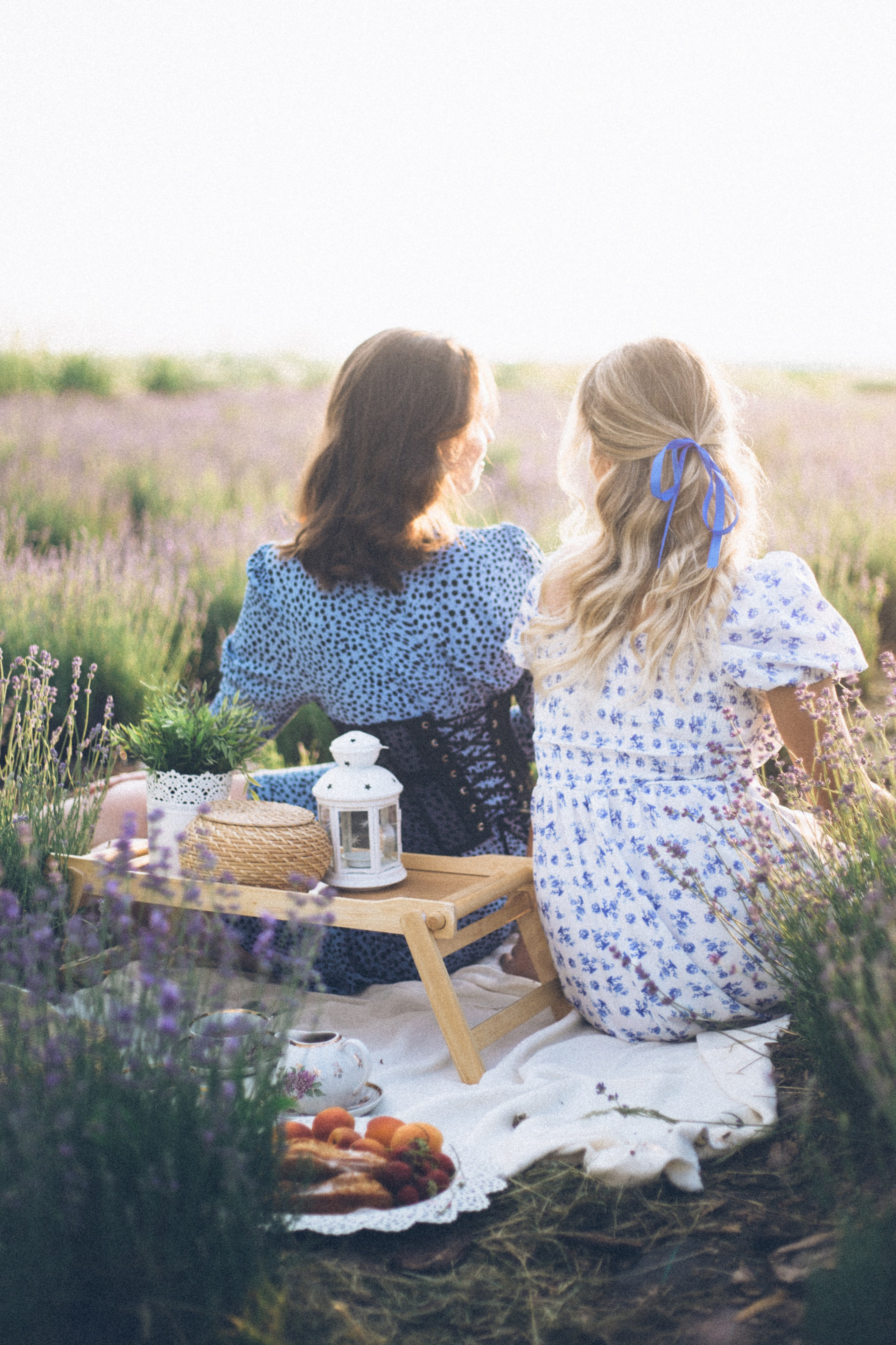 Lavender field. Photographer Anna Curly | Weddings and Events in Dubai