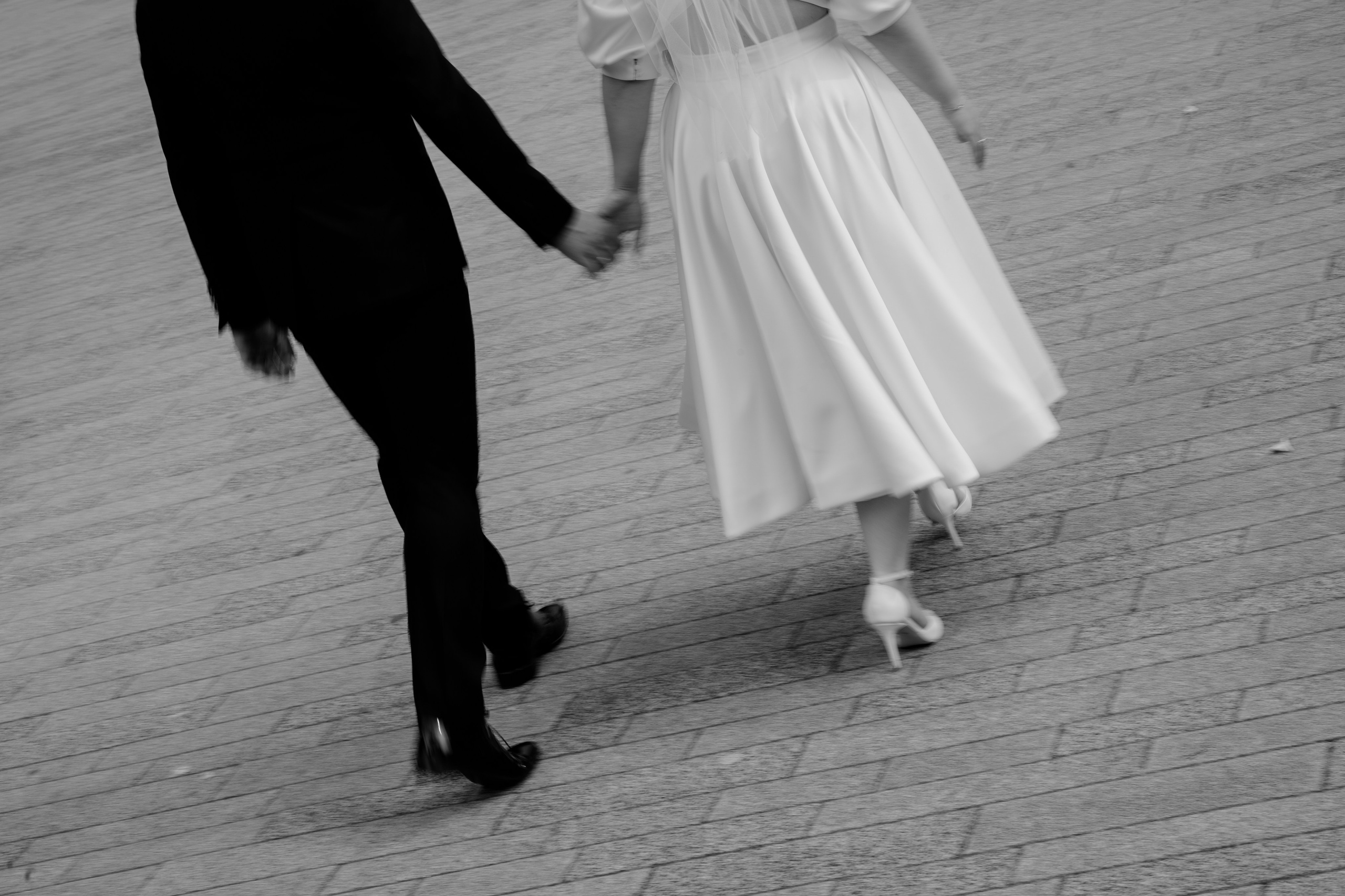 Stefan & Dorotea. NSJ — Wedding Studio