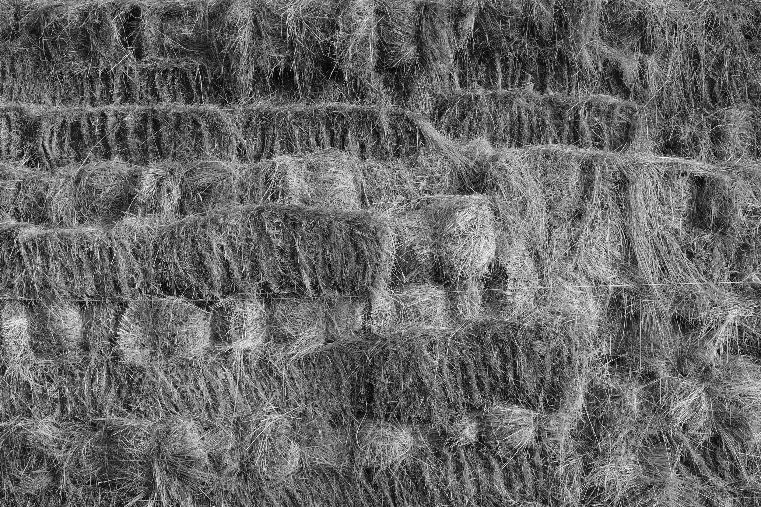 EARTH & SONG Vardablur, 2025. Areg Balayan — Photographer/Visual Artist