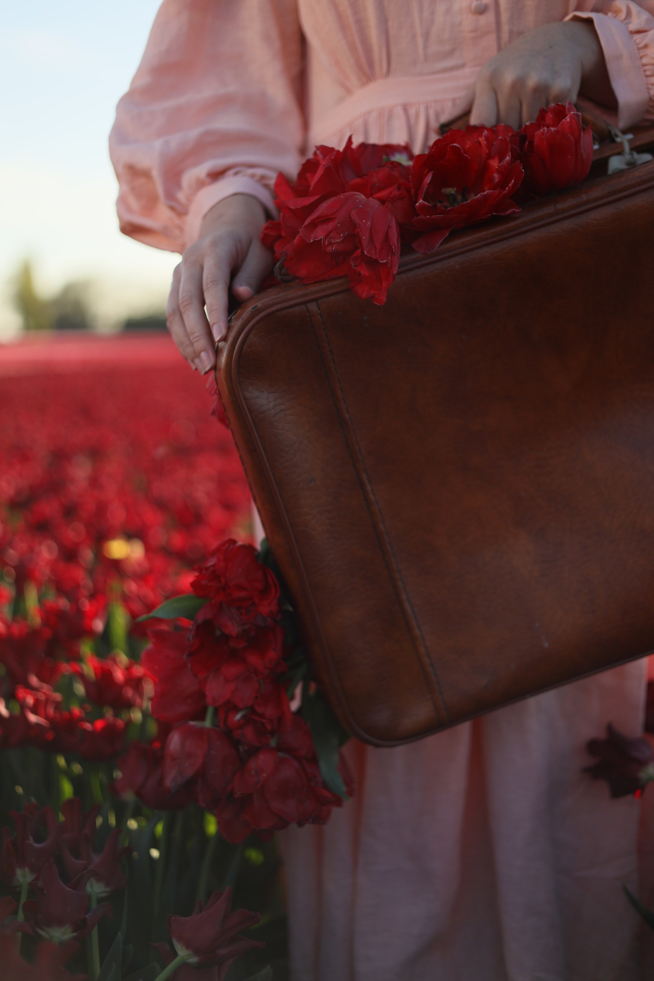 Tulip fields. Oxana Kirikidi Photography