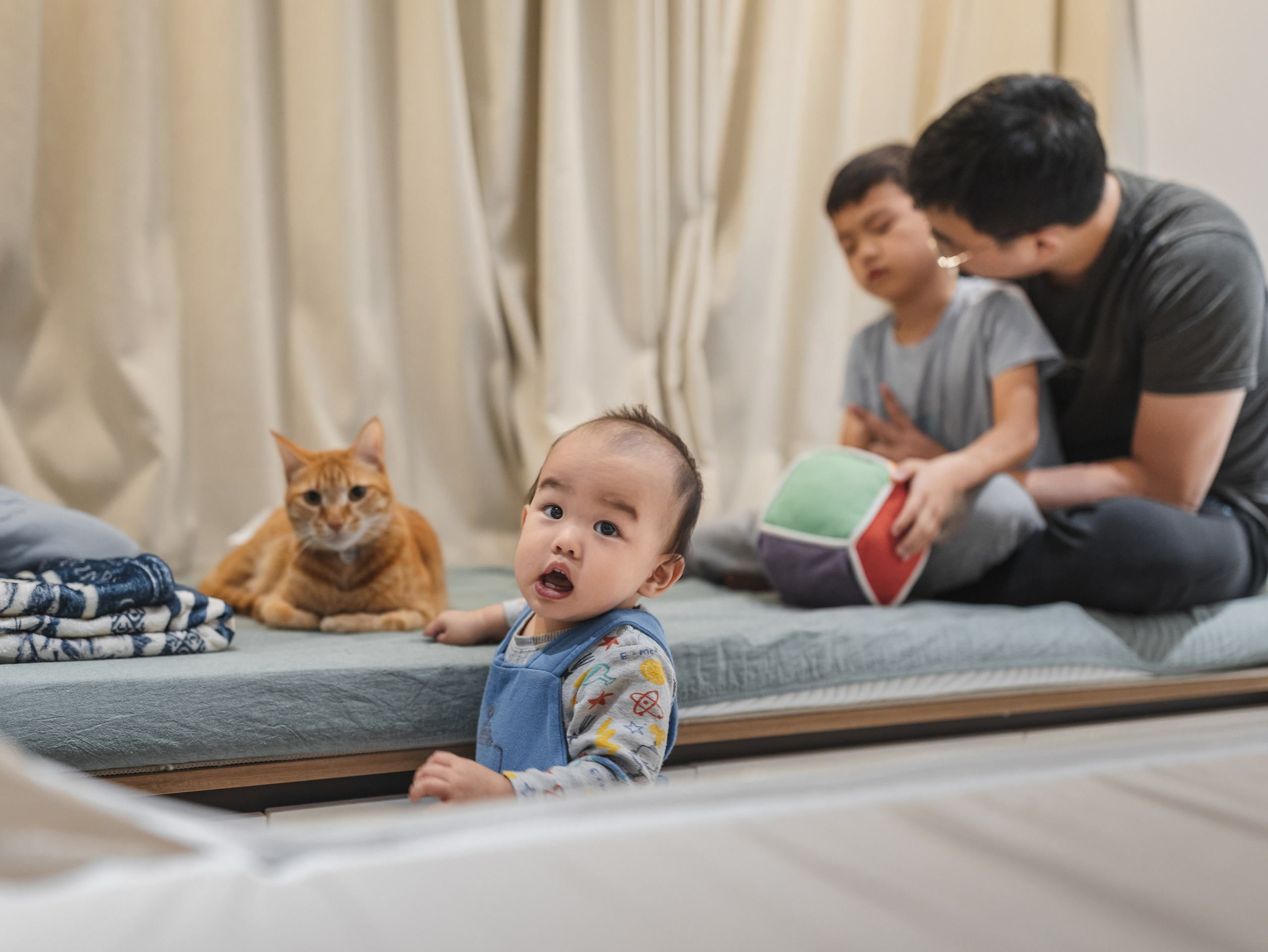 Photos of pets. Shanghai Family Photographer Dora