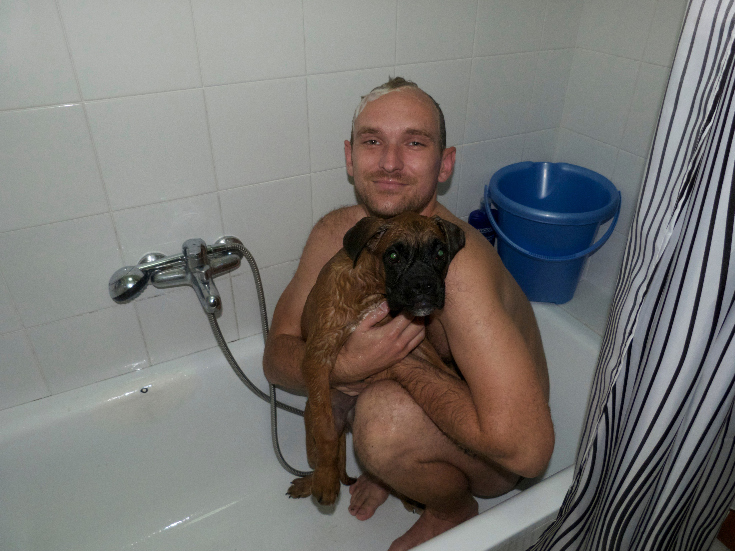 My ״Star״ Boxer Dog