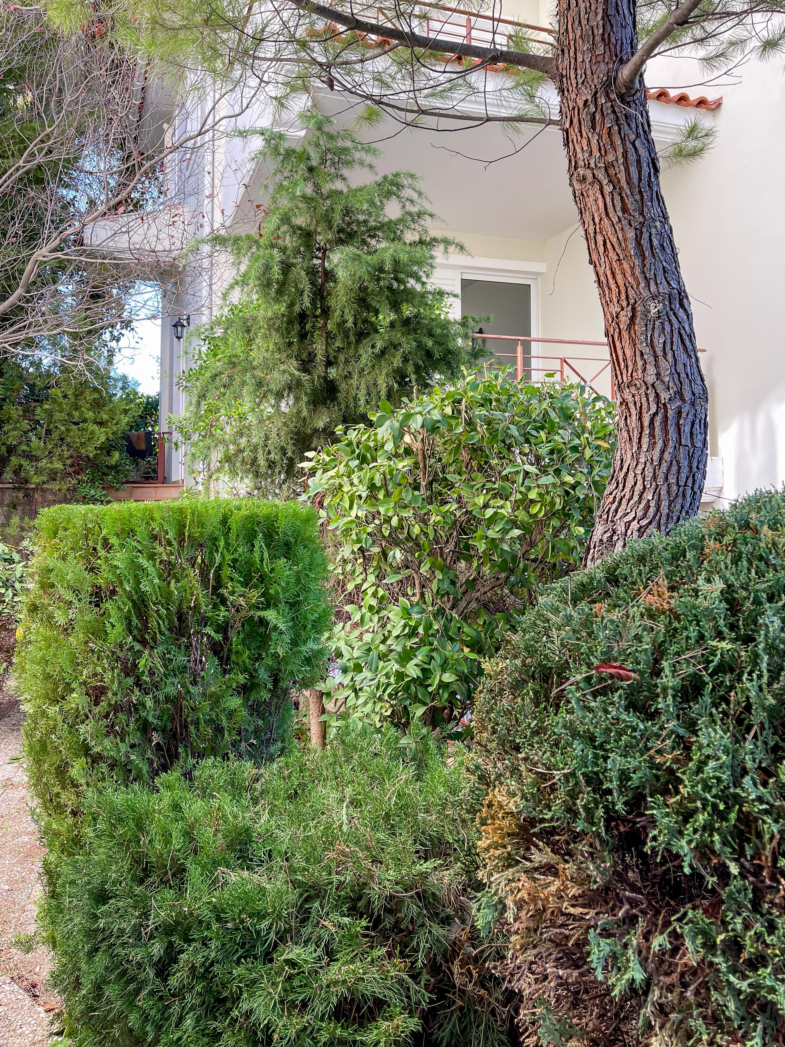 Κήπος Θρακομακεδόνες. Geoponitikon-Όταν η Επιστήμη συναντά την Τέχνη στο Φυσικό Τοπίο!