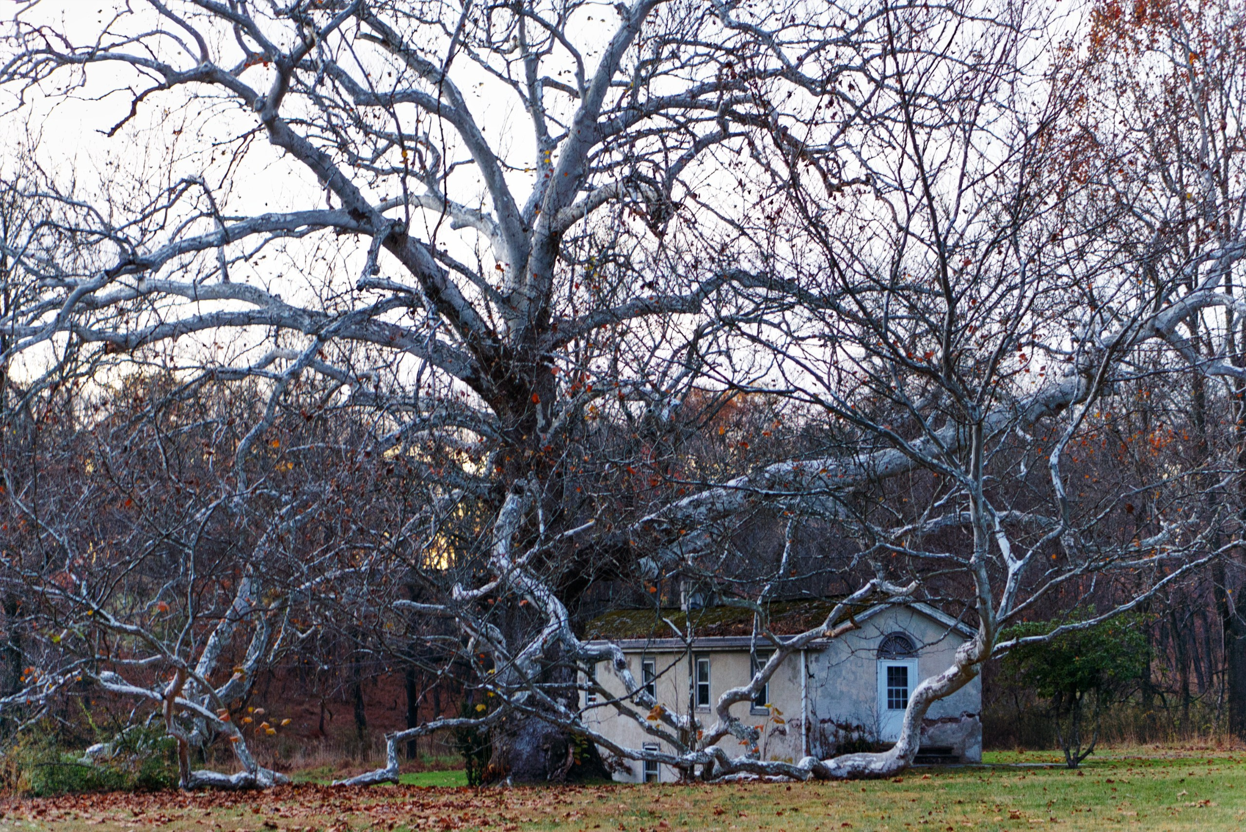 Architectural Photography. Nikolay Pokrovskiy