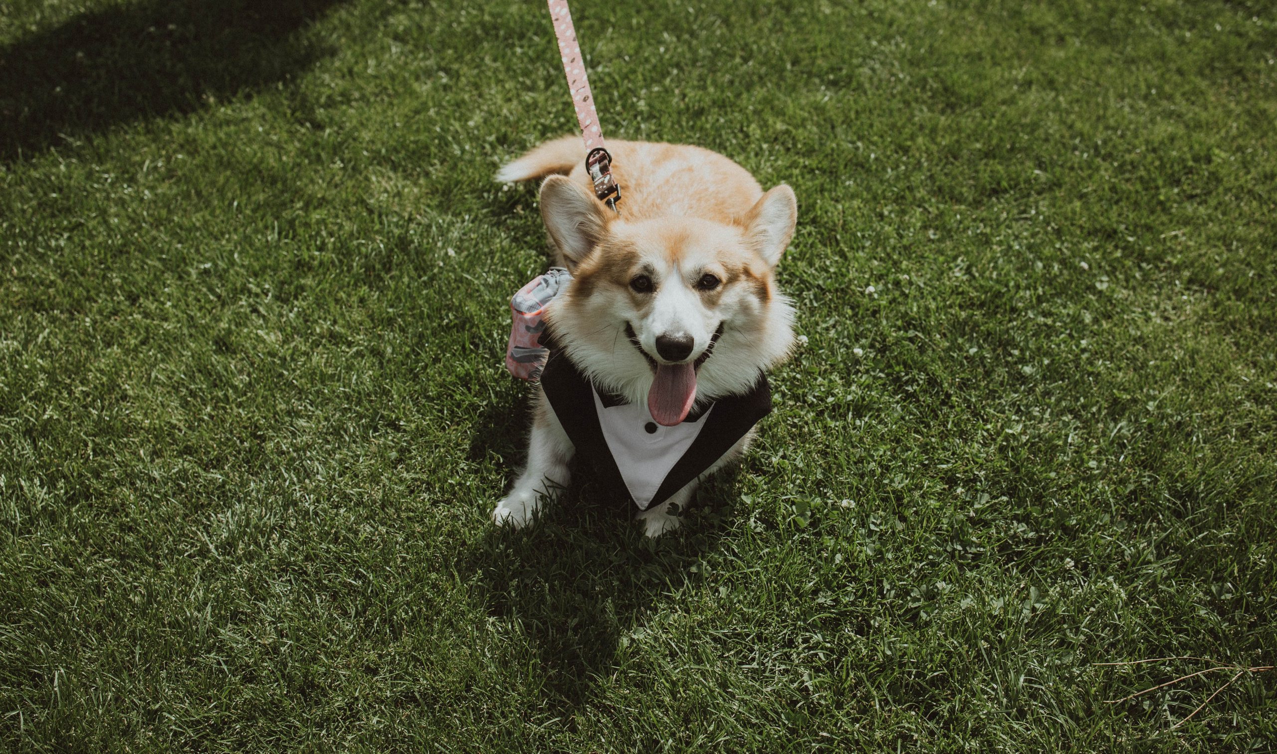 MAKSYM VIKTORIIA. Fotograf Mykhalchuk Inna Kraków