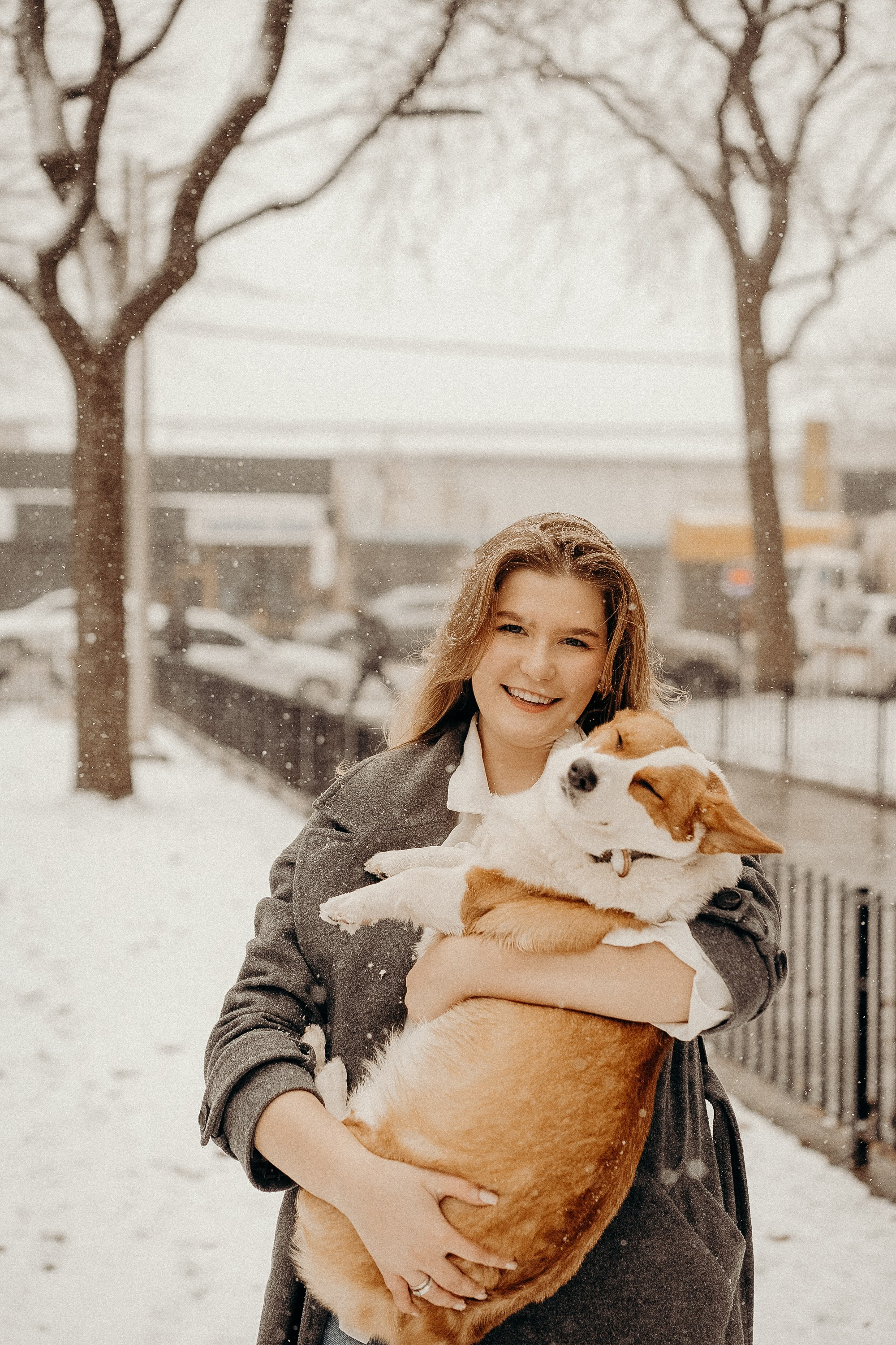 Photos of a little corgi and her owner. Portrait and wedding photographer in New York