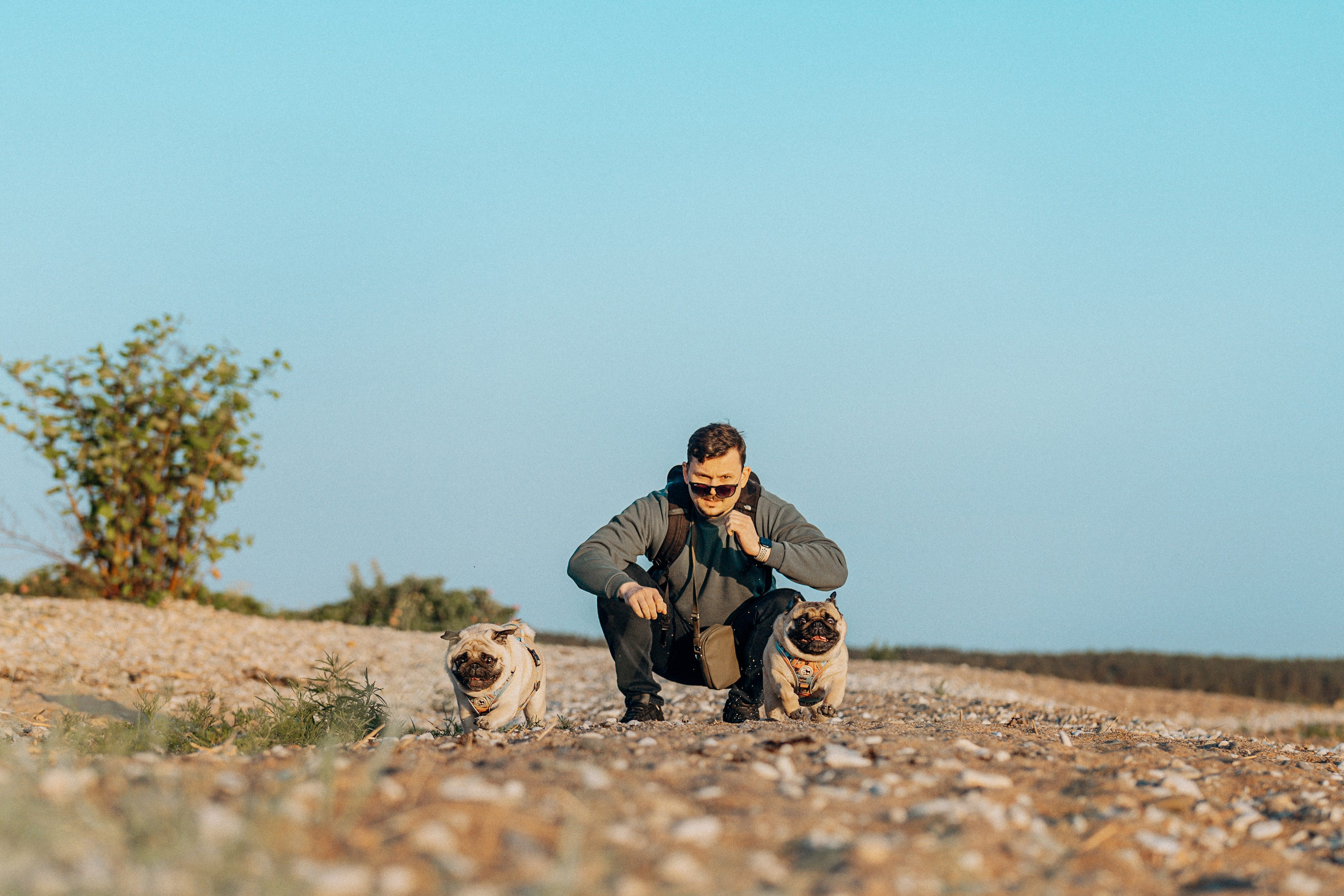 Frank, Tony, Katerina & Lev. Kat Laisaar — Pet photographer in Tallinn
