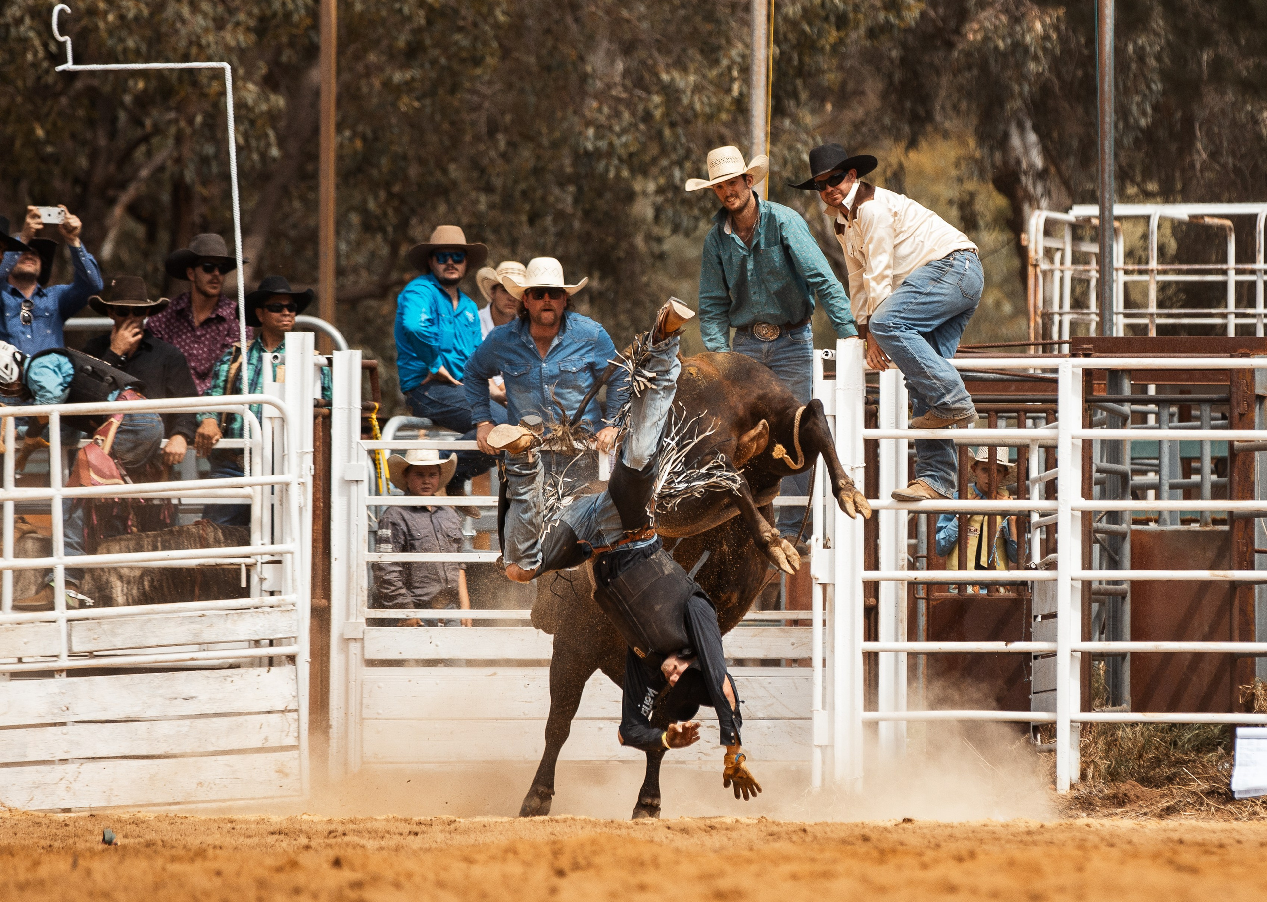 Selection of photos from different rodeos