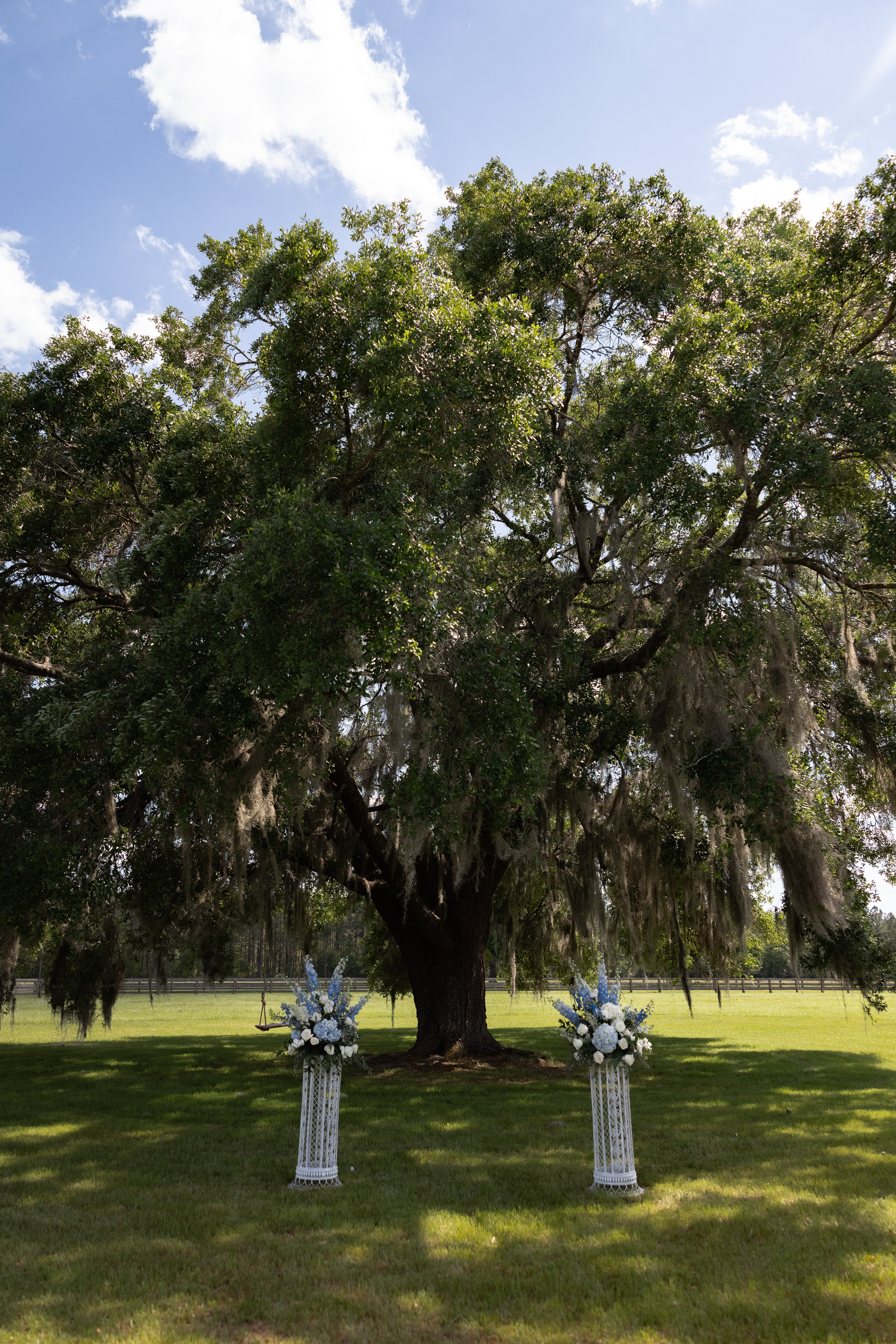 Haley and Will. Photographer Anastasia Nagibina