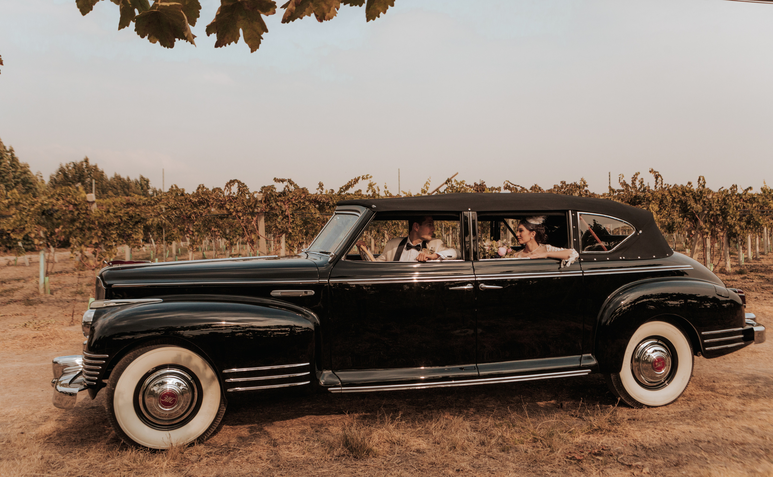 Свадьбы. Фотограф Вероника Яцына в Ташкенте