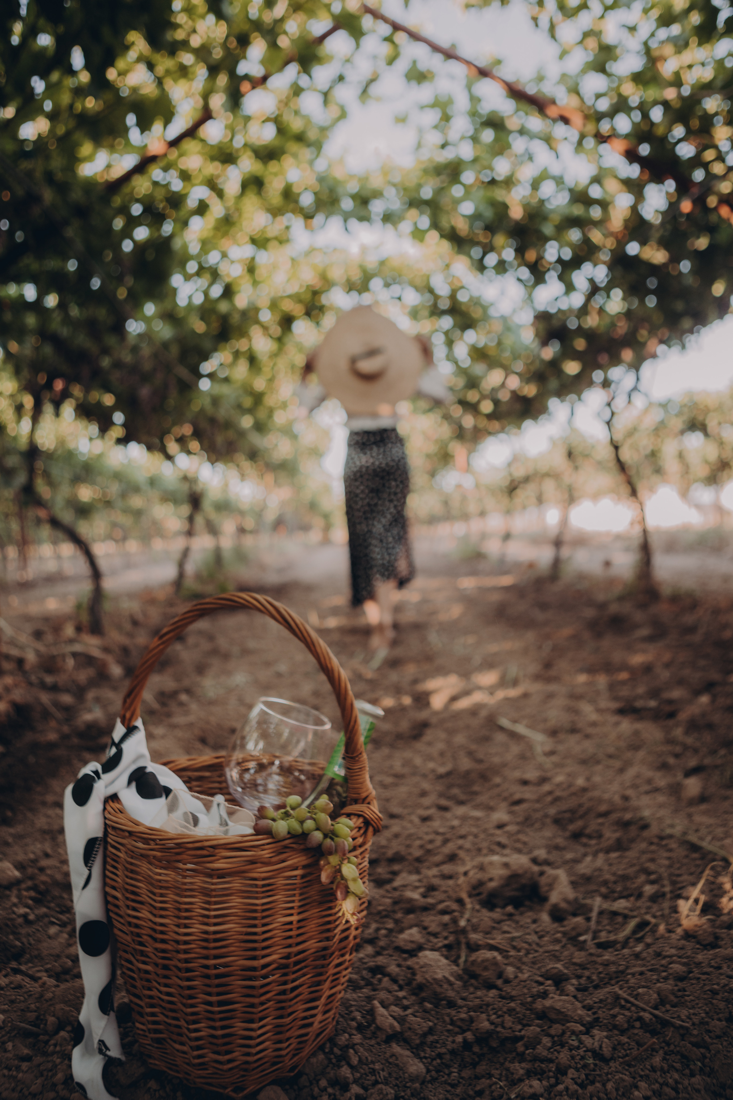 На открытом воздухе. Фотограф Вероника Яцына в Ташкенте