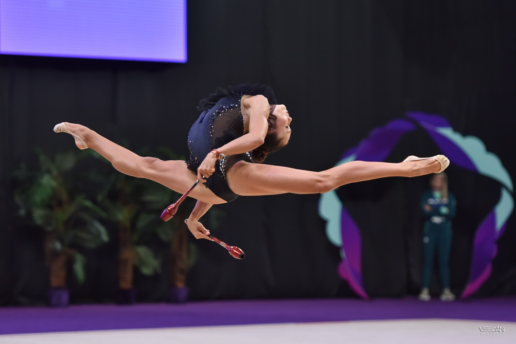 Vescan Pictures - fotografie de eveniment